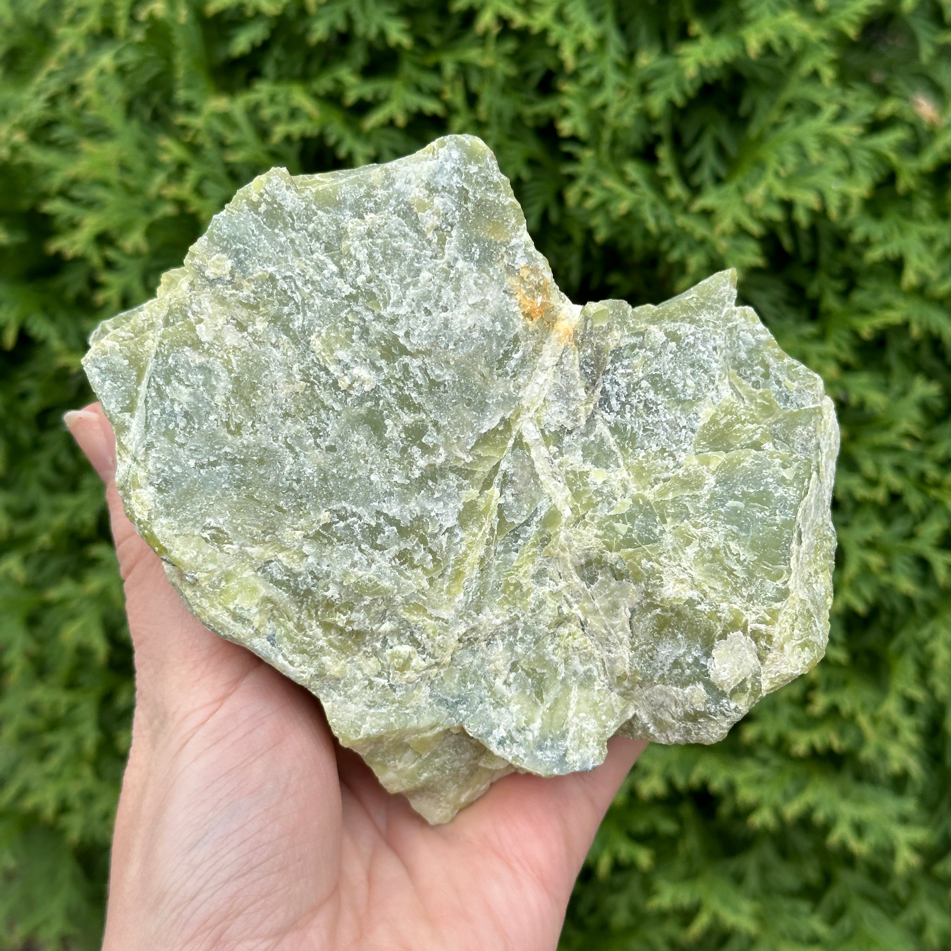 Dark Green Large Serpentine Natural Specimen From Washington, USA
