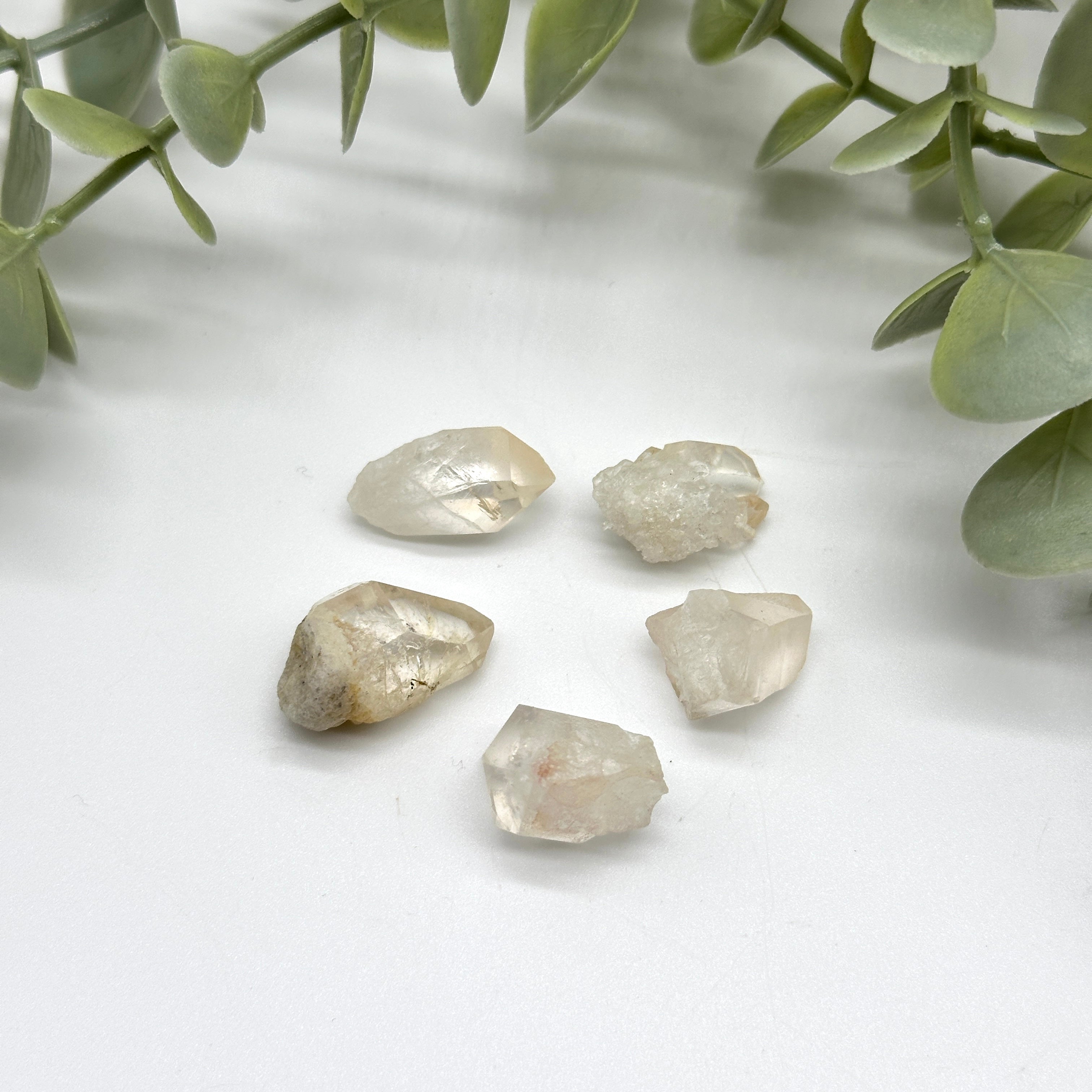 Set of 5 Mini Clear Quartz Crystal Points Perfect for Crystal Grids!