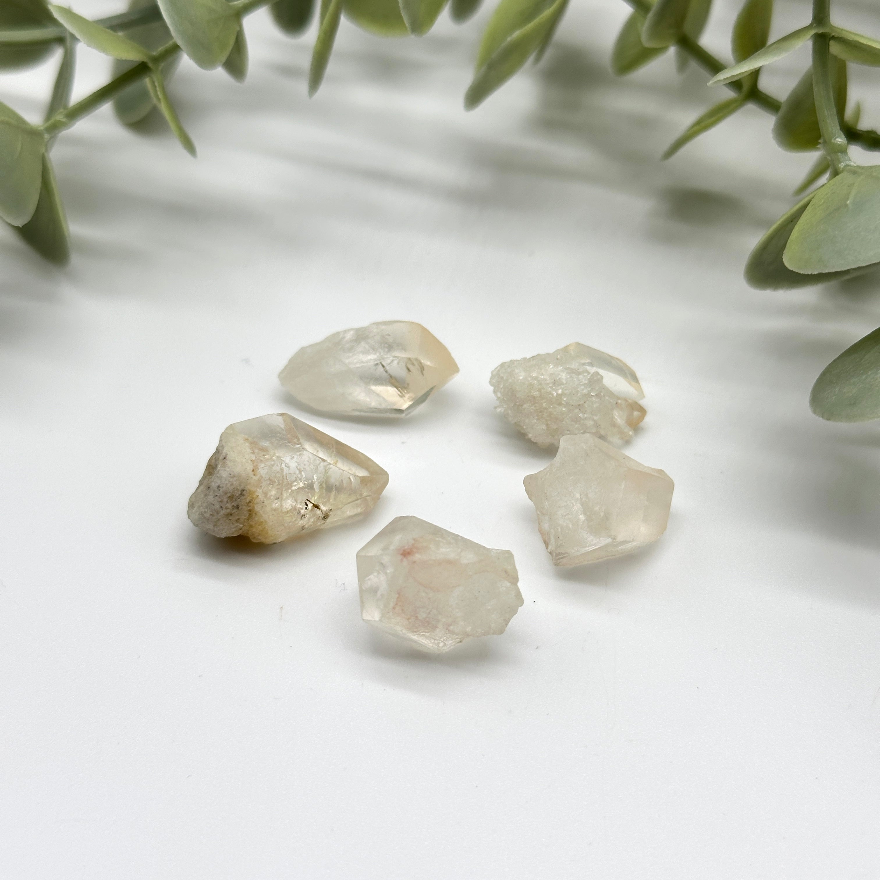 Set of 5 Mini Clear Quartz Crystal Points Perfect for Crystal Grids!