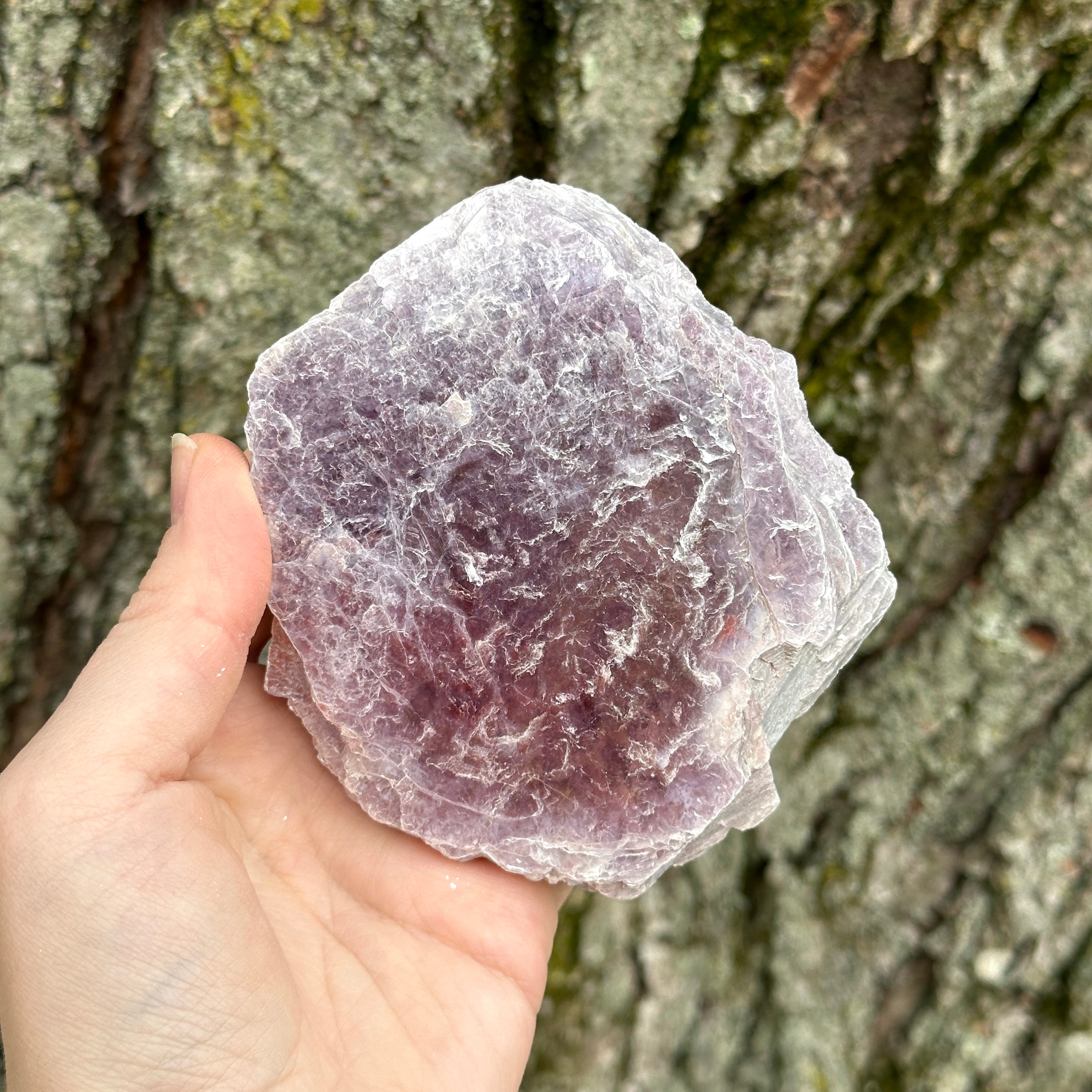 Large Sparkling Lilac Lepidolite Mica Specimen