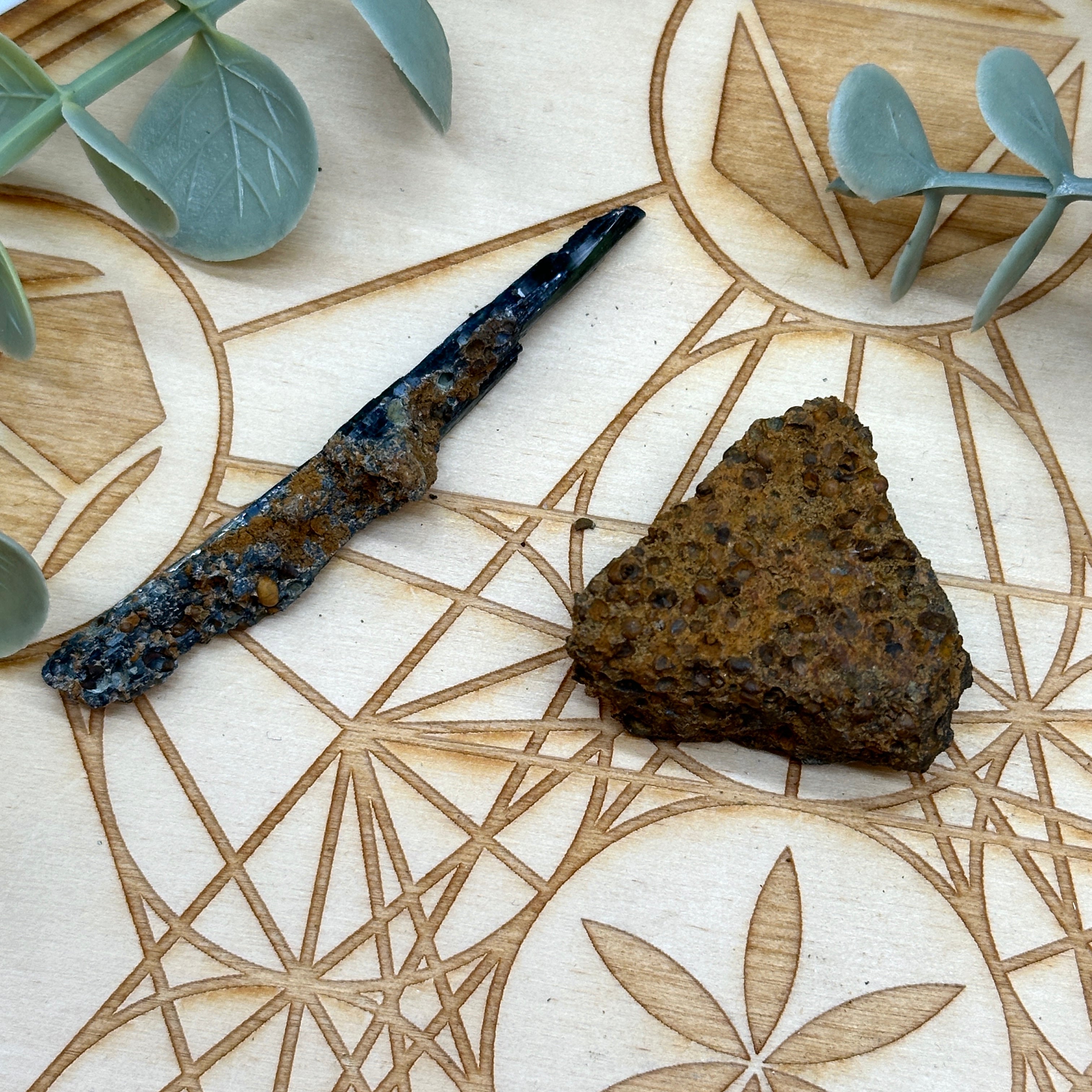 Set of 2 - Rare Raw Vivianite Blade and Clustered Matrix from Bolivia