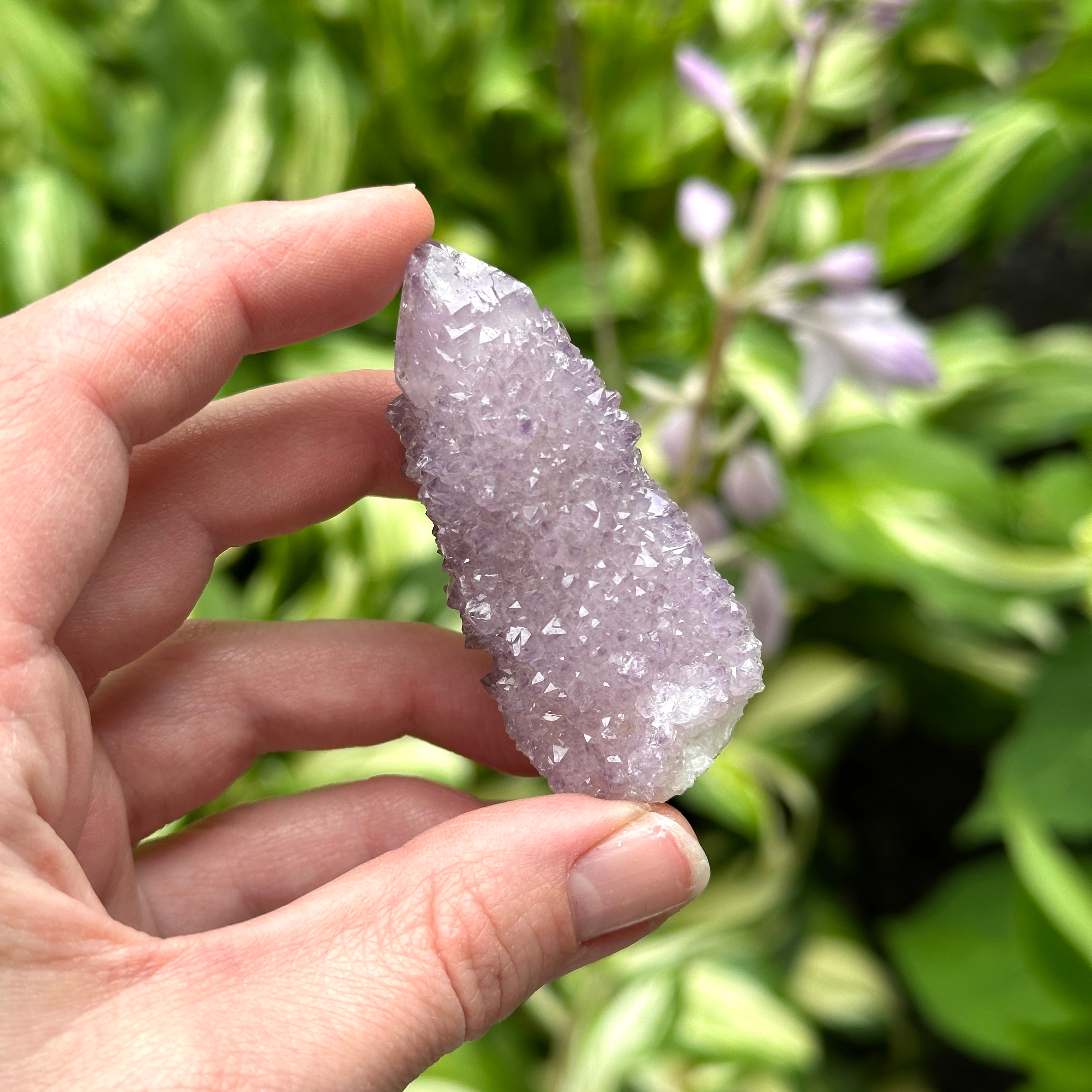 Ametrine Spirit Quartz Natural Crystal Point