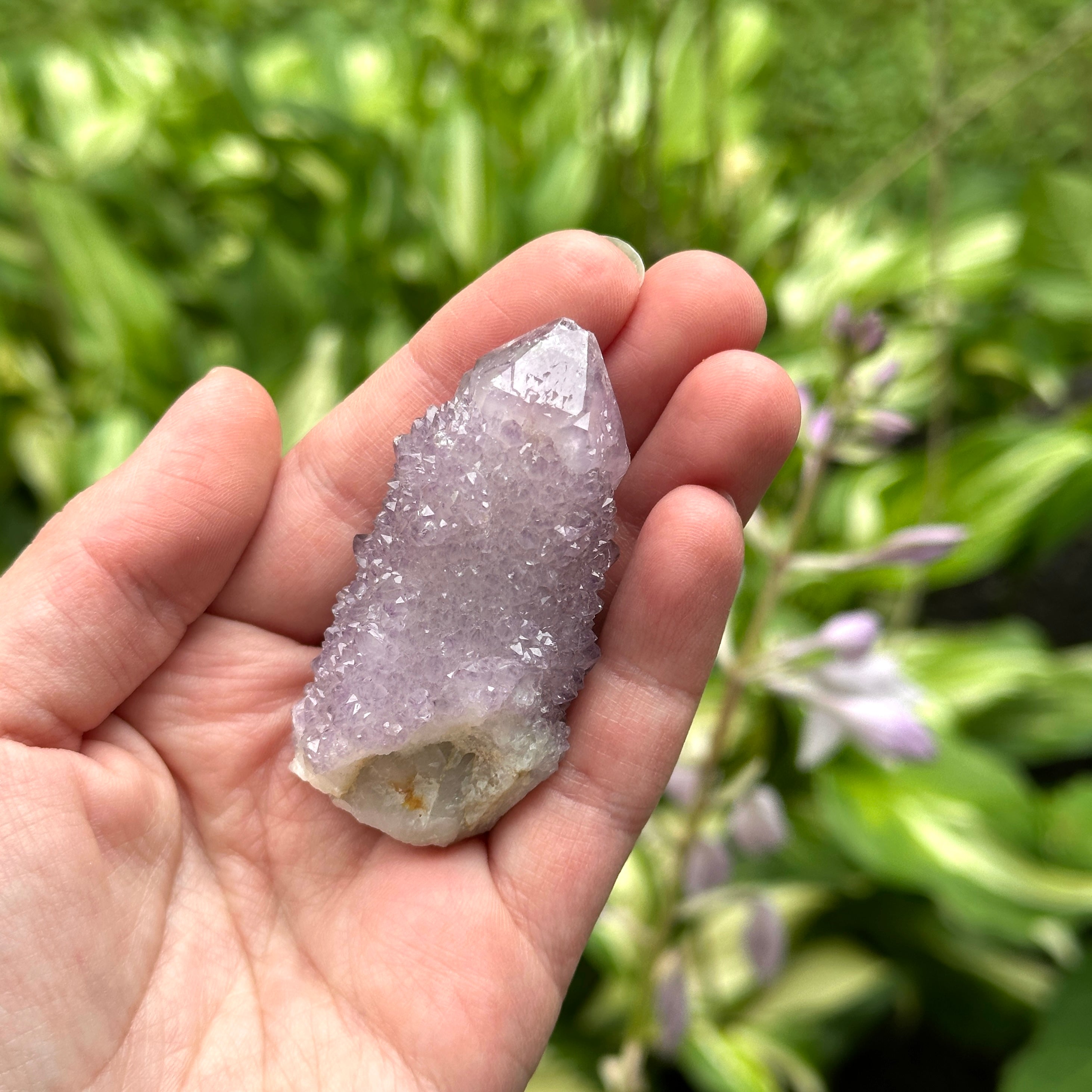 Ametrine Spirit Quartz Natural Crystal Point
