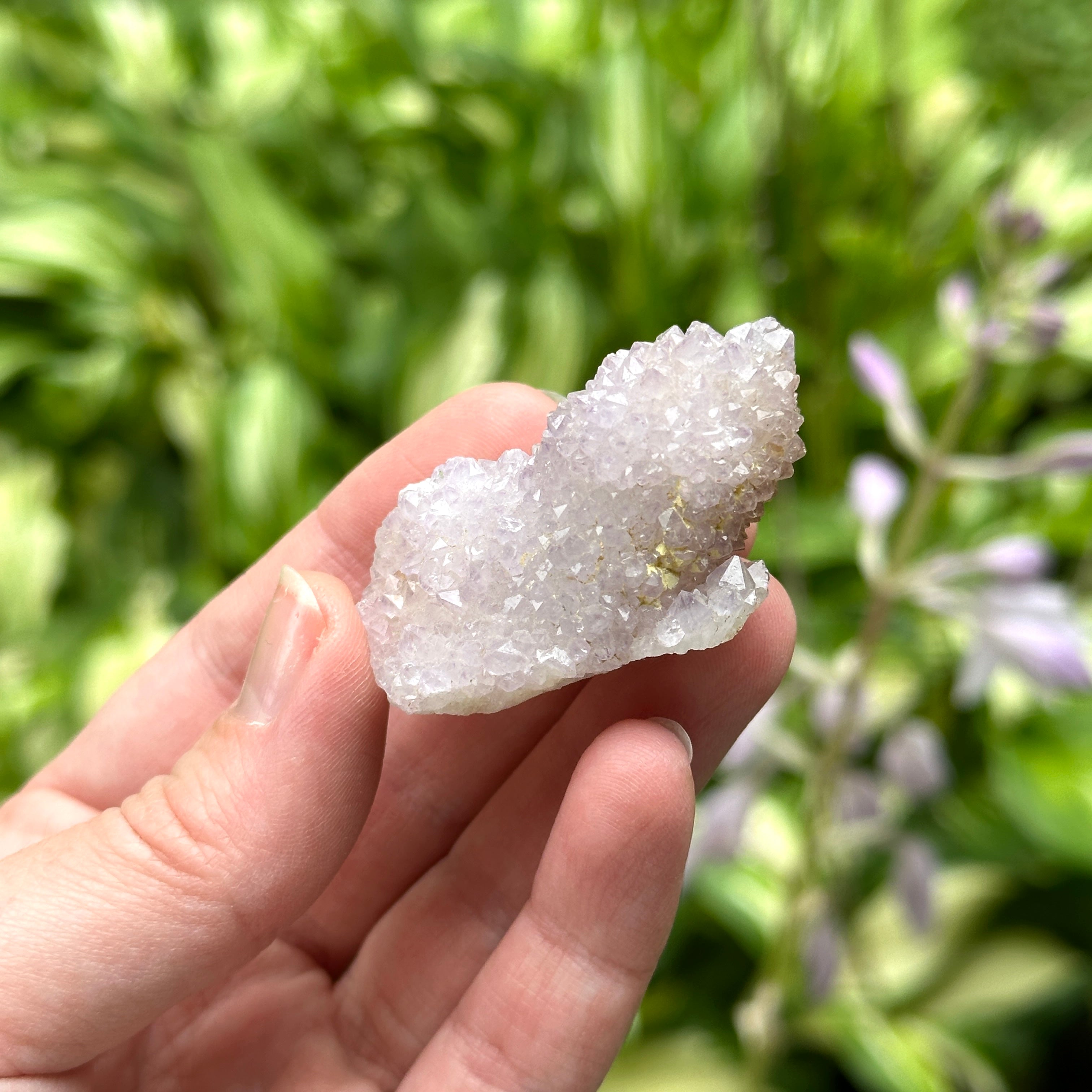 Natural Ametrine Spirit Quartz Crystal Point