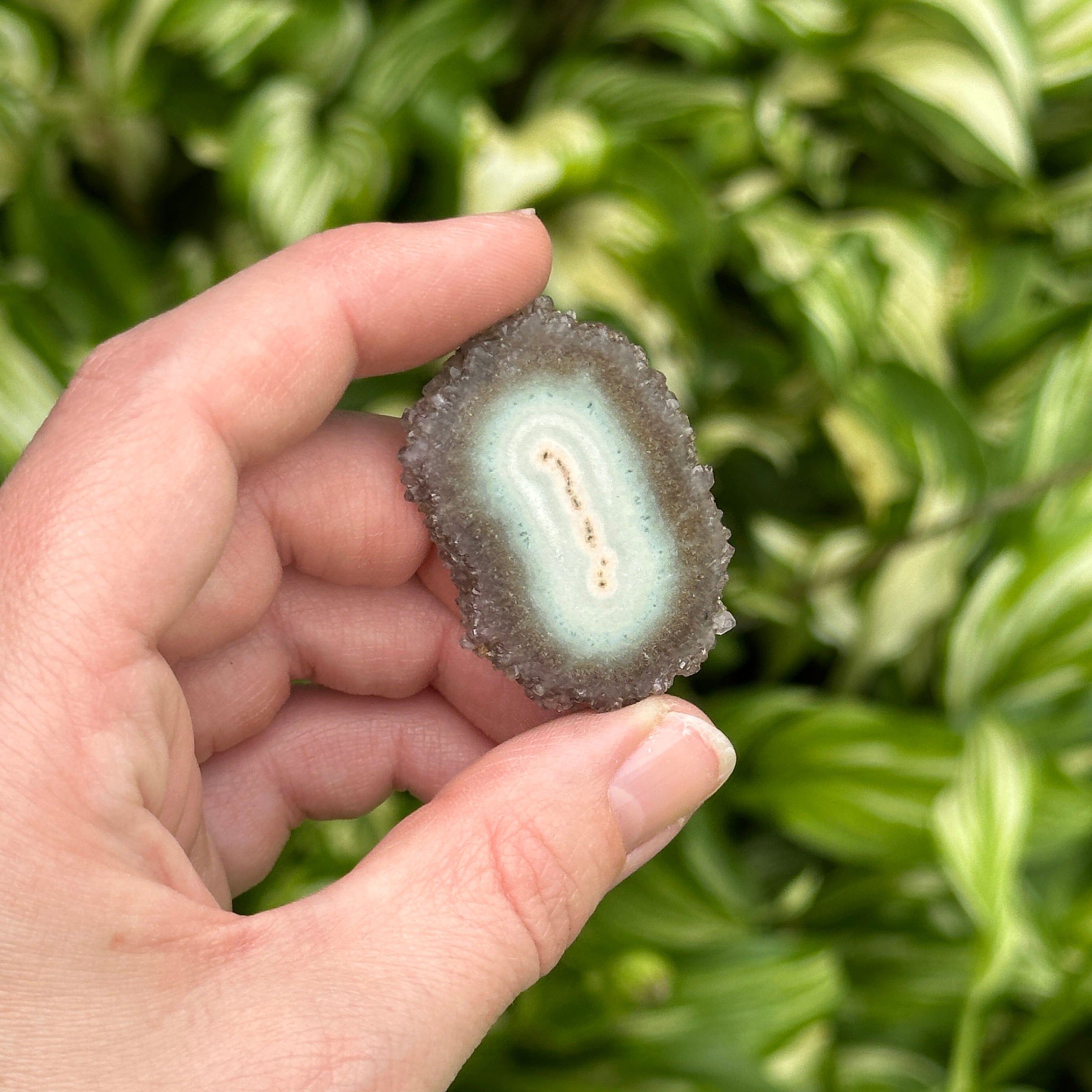Unique Amethyst and Quartz Polished Stalactite Slice