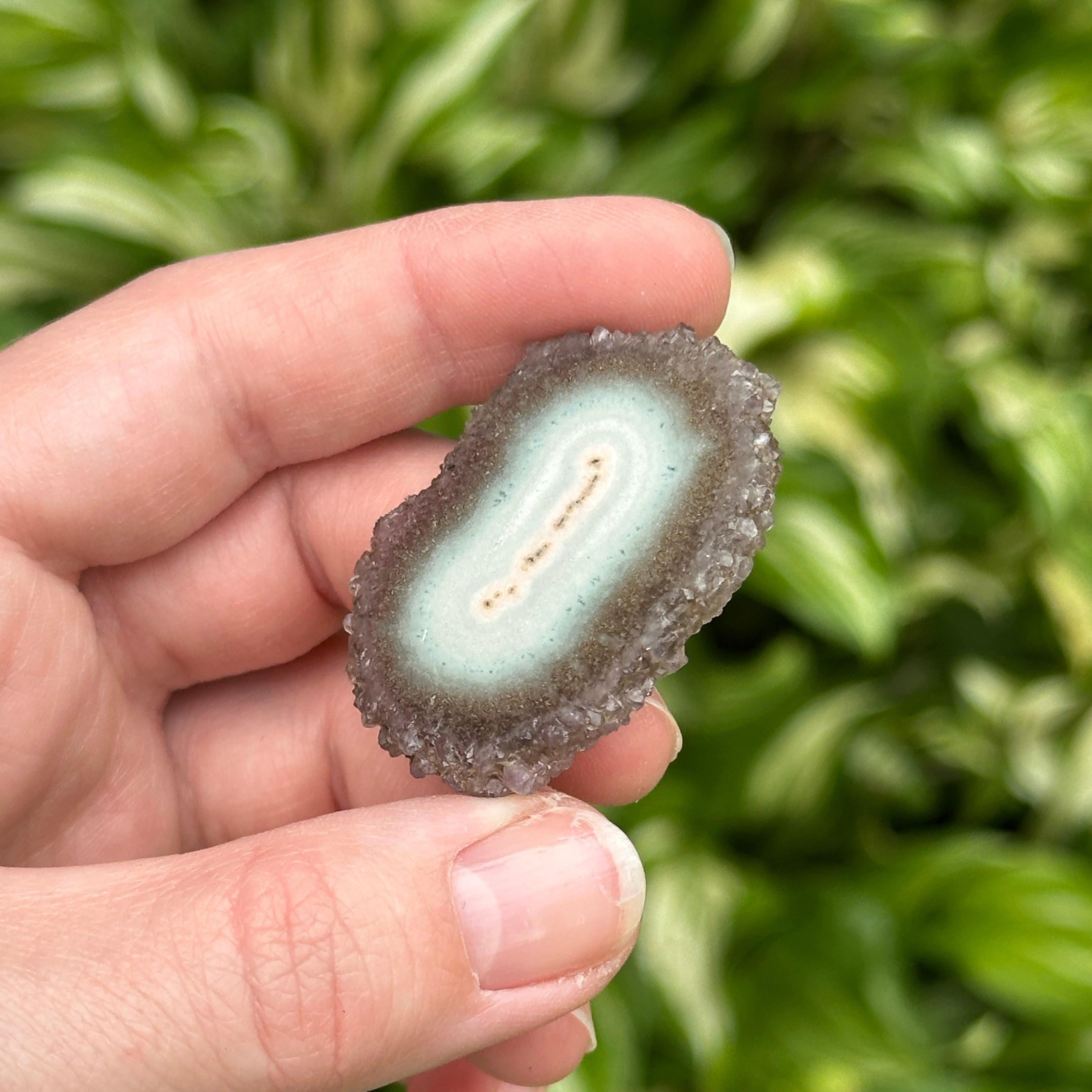 Unique Amethyst and Quartz Polished Stalactite Slice