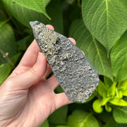 Raw Shungite Specimen with Pyrite Crust