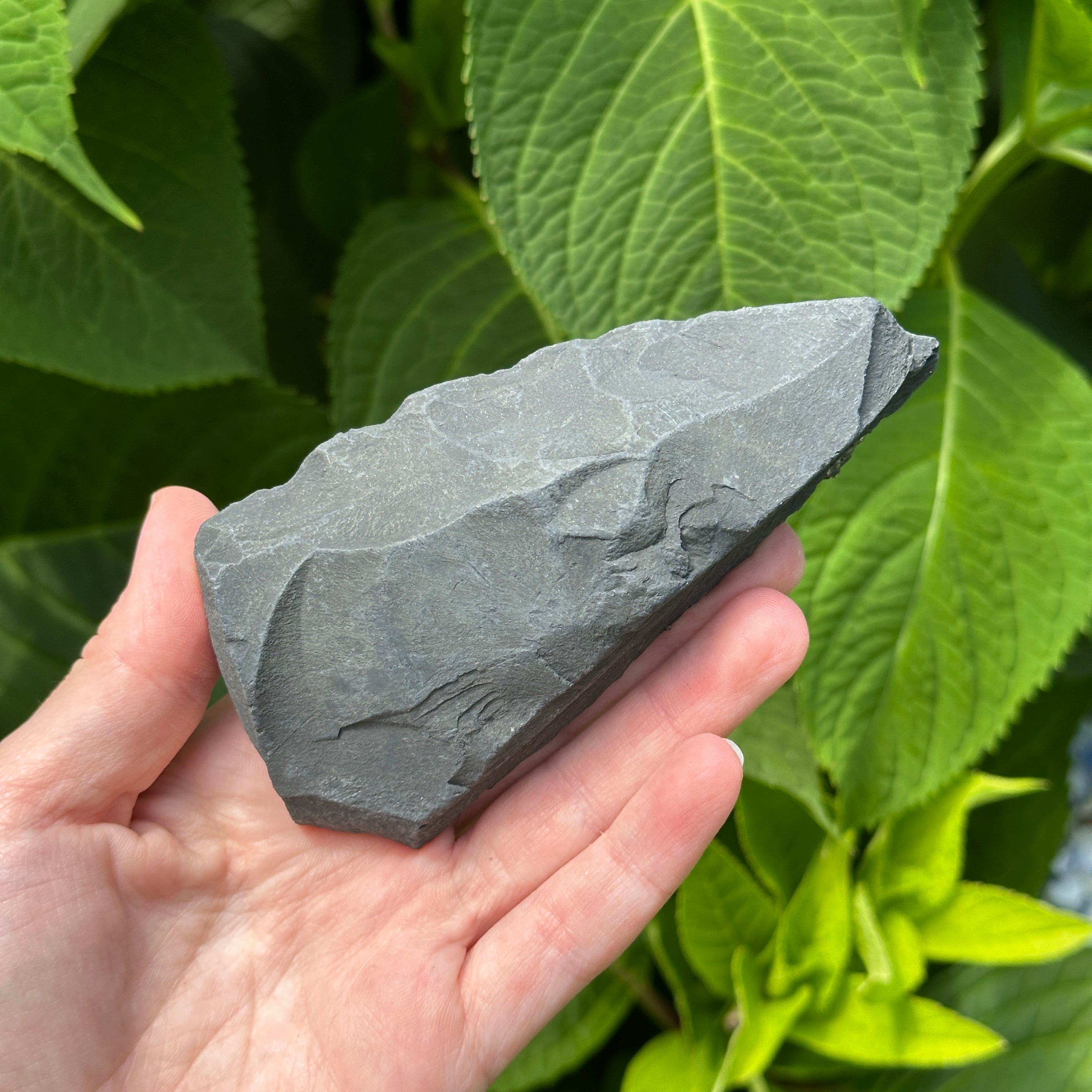 Raw Shungite Specimen with Pyrite Crust