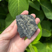 Raw Shungite Specimen with Pyrite Crust