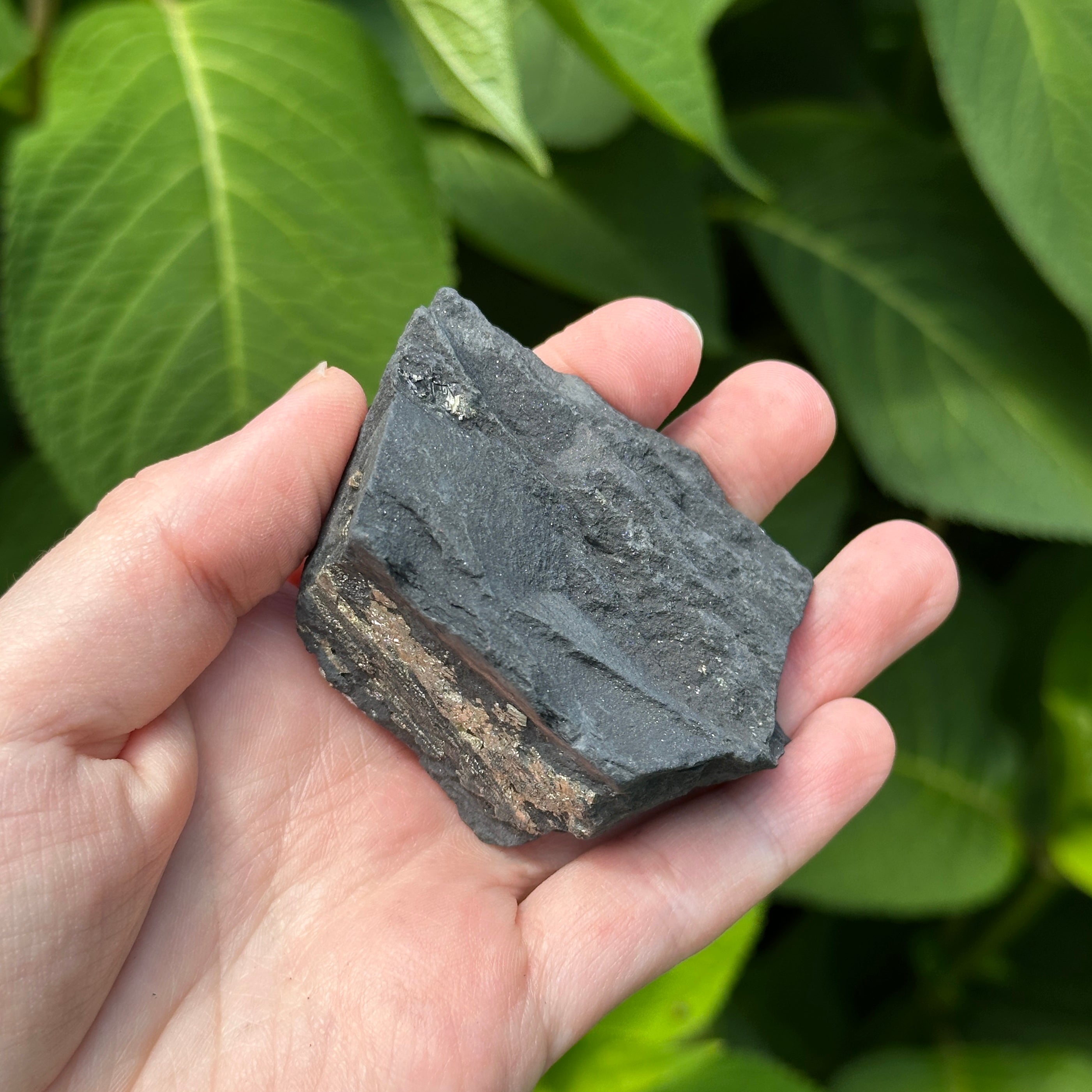 Raw Shungite Specimen with Pyrite Crust