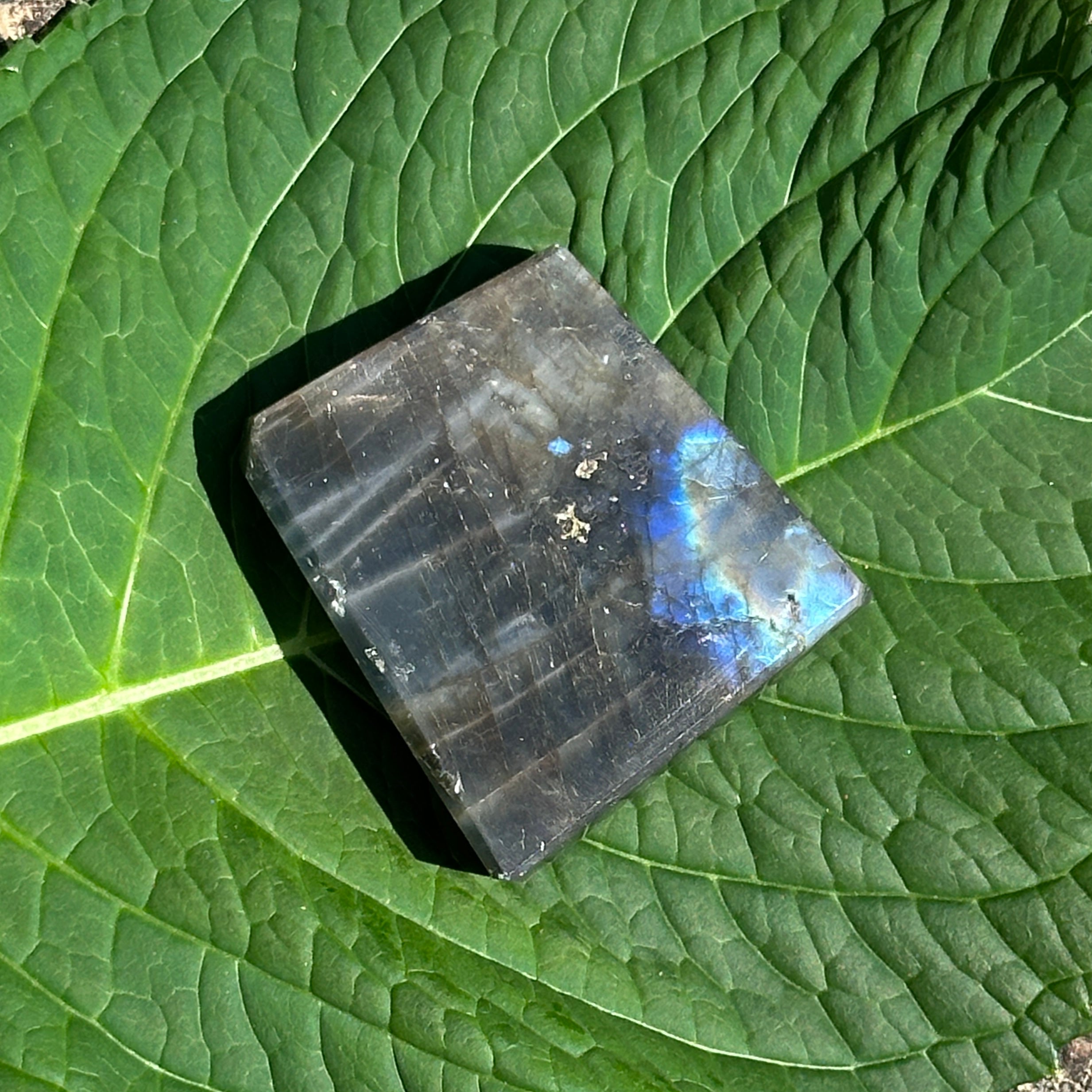 Larimar Free Form Carving (Small)