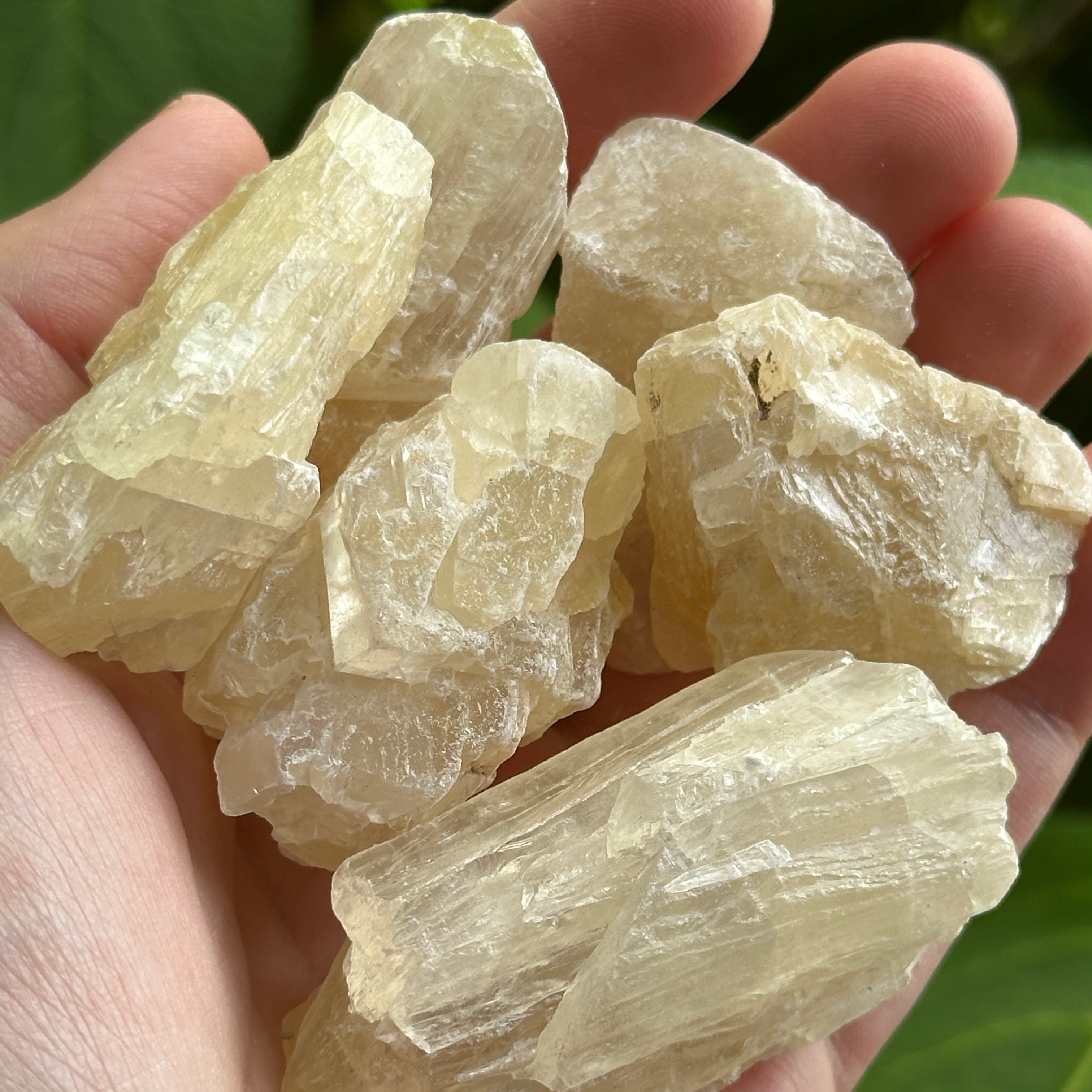 Golden Calcite Set of 6