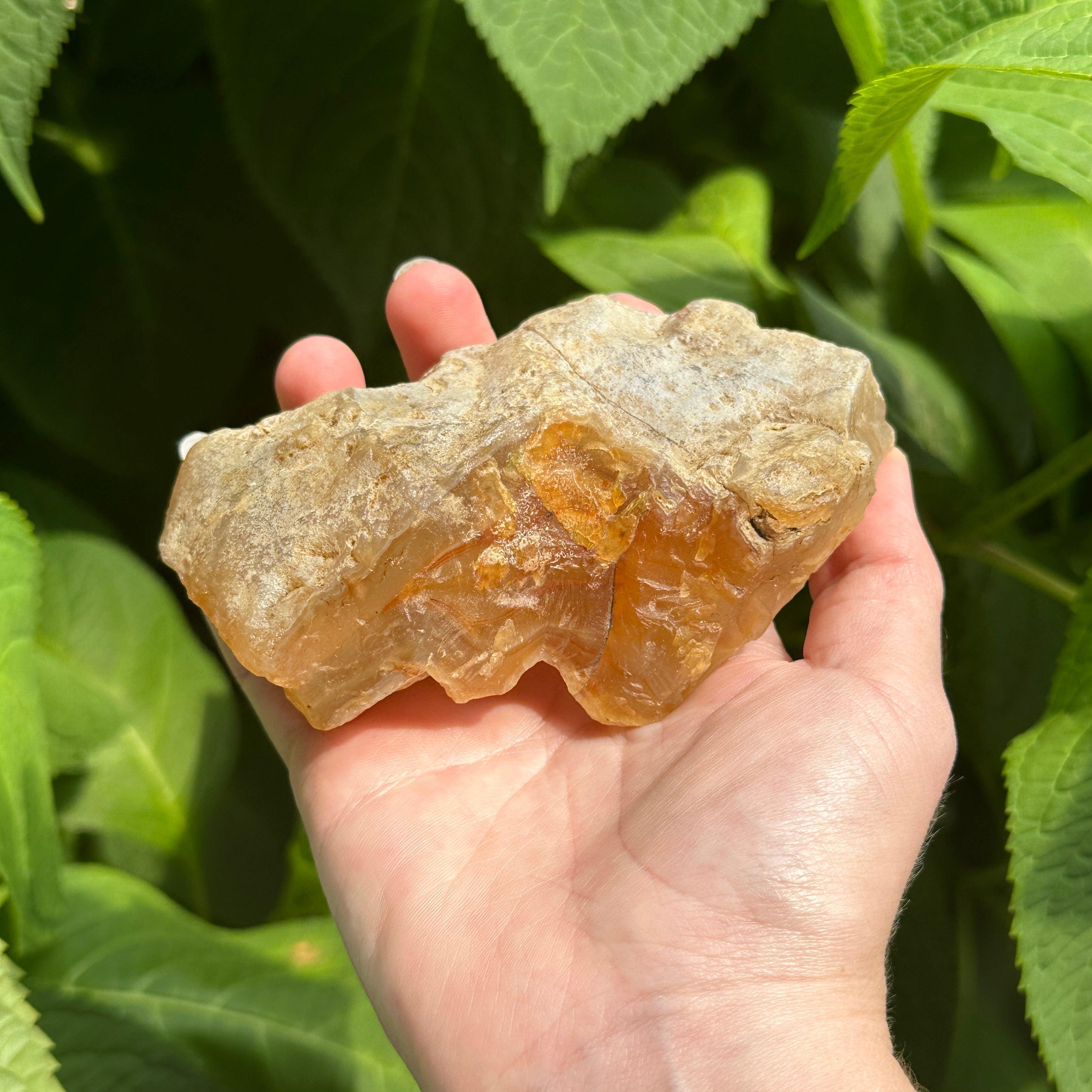 Raw Orange Carnelian Agate with Banding - Hand Collected from Washington State, USA