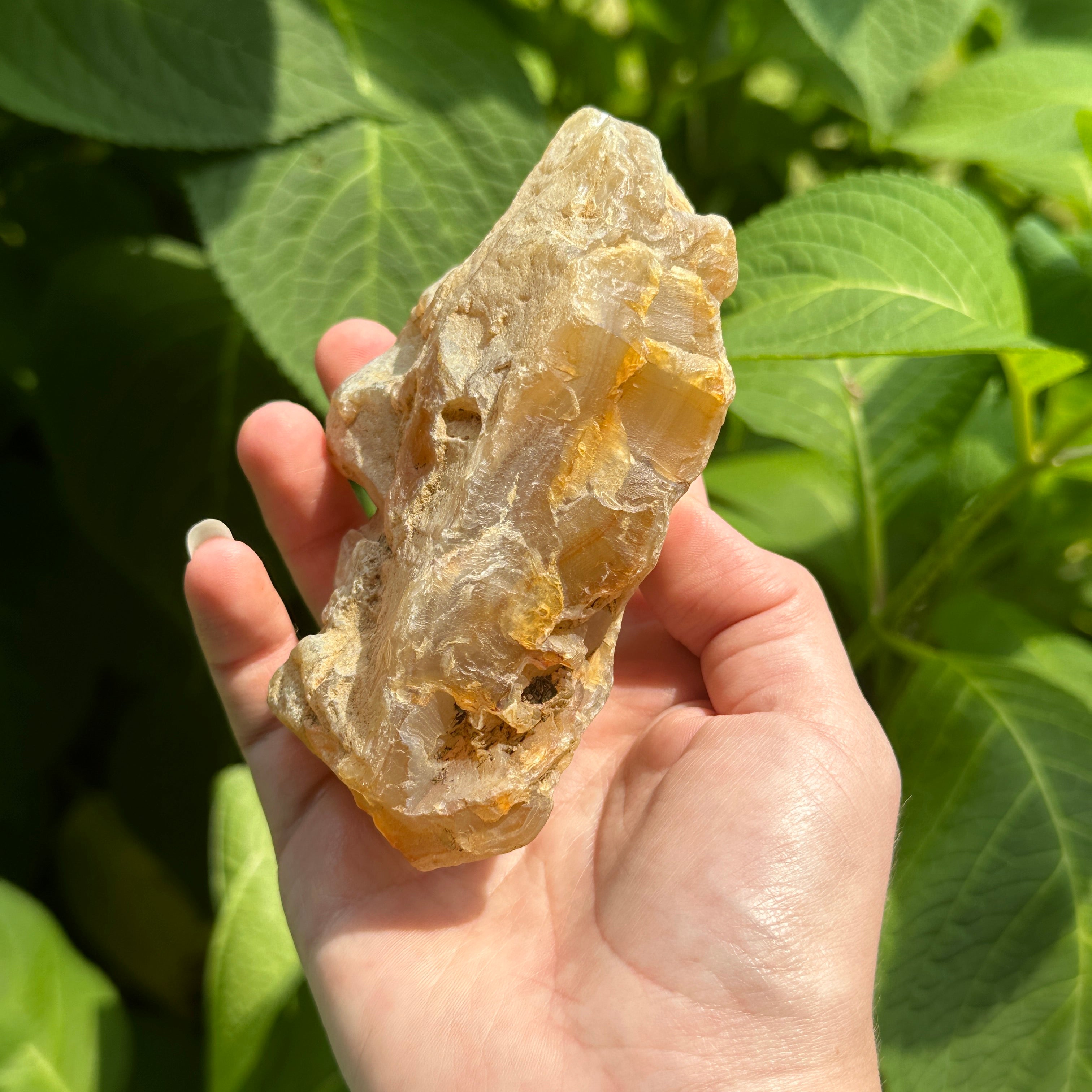 Raw Orange Carnelian Agate with Banding - Hand Collected from Washington State, USA