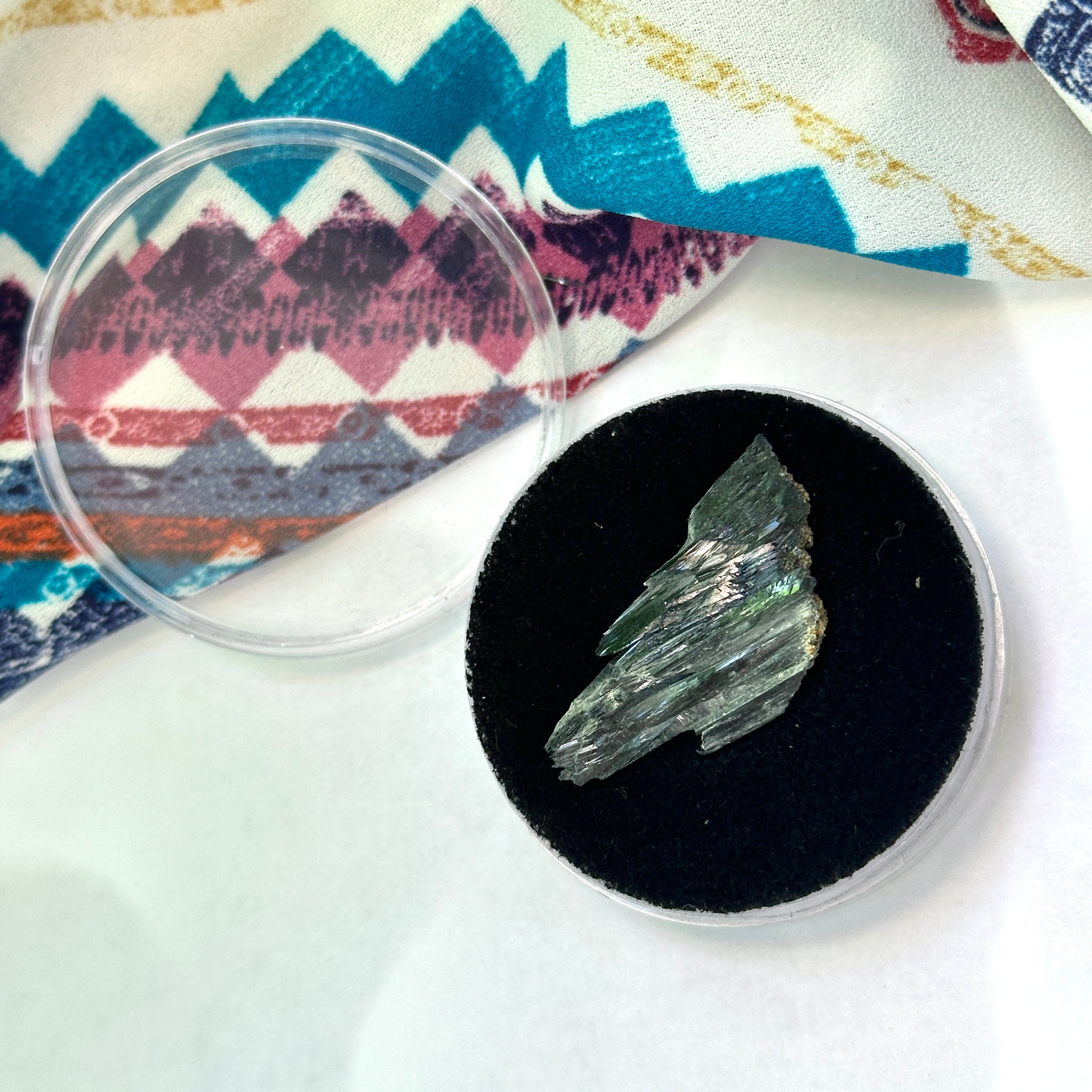 Vivianite Blade in Collectors Case, Locality: Tomokoni, Bolivia