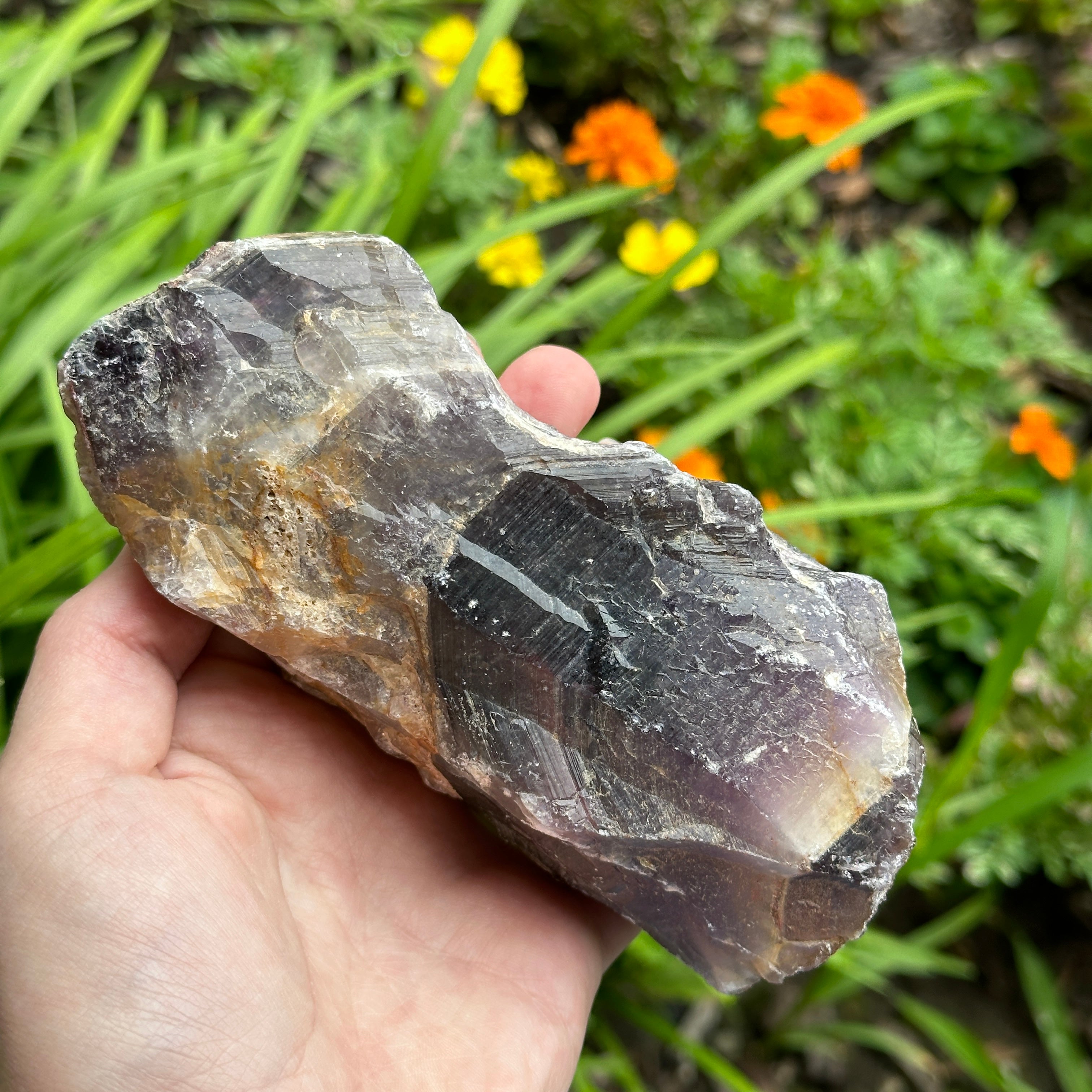 X Large Natural Auralite 23 Point with Sugary Hematite Cap from Ontario CA