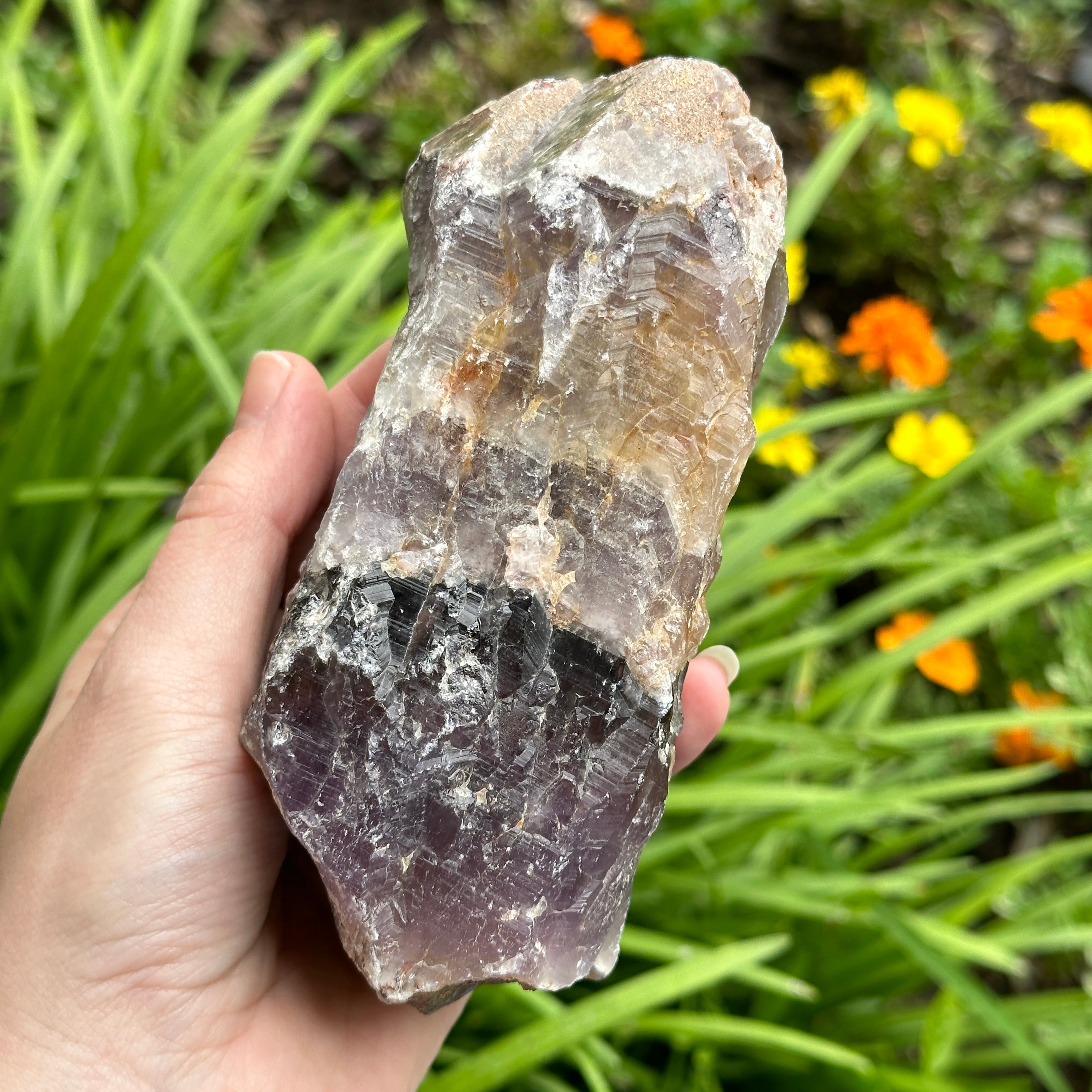 X Large Natural Auralite 23 Point with Sugary Hematite Cap from Ontario CA