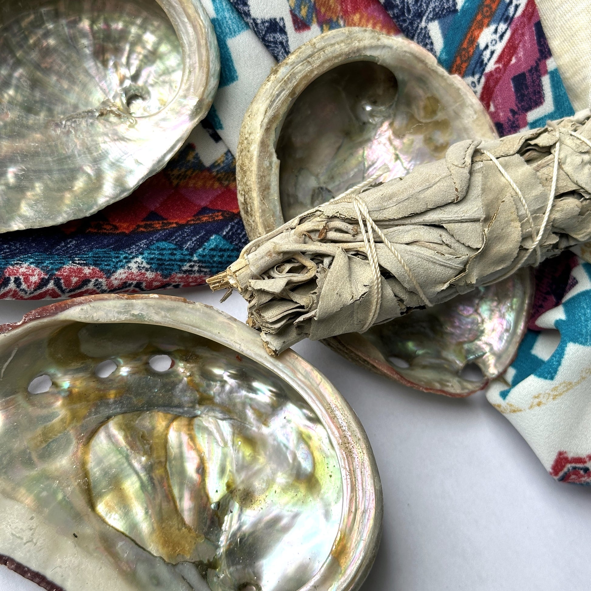 Abalone Shells for Smudging & Incense - Earth Family Crystals