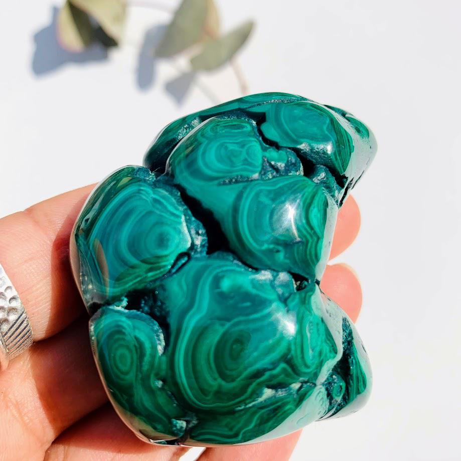 Reserved For Gina D. Lovely Green Patterns Malachite Partially Polished Specimen #2 - Earth Family Crystals