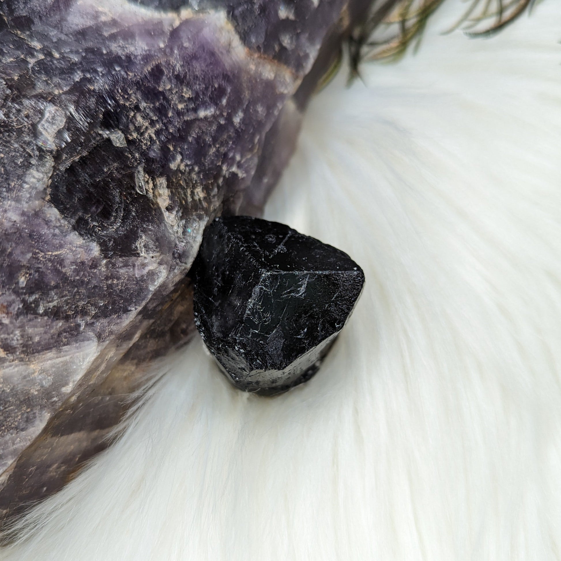 Black Tourmaline AA Gemmy Crystal Specimen - Earth Family Crystals