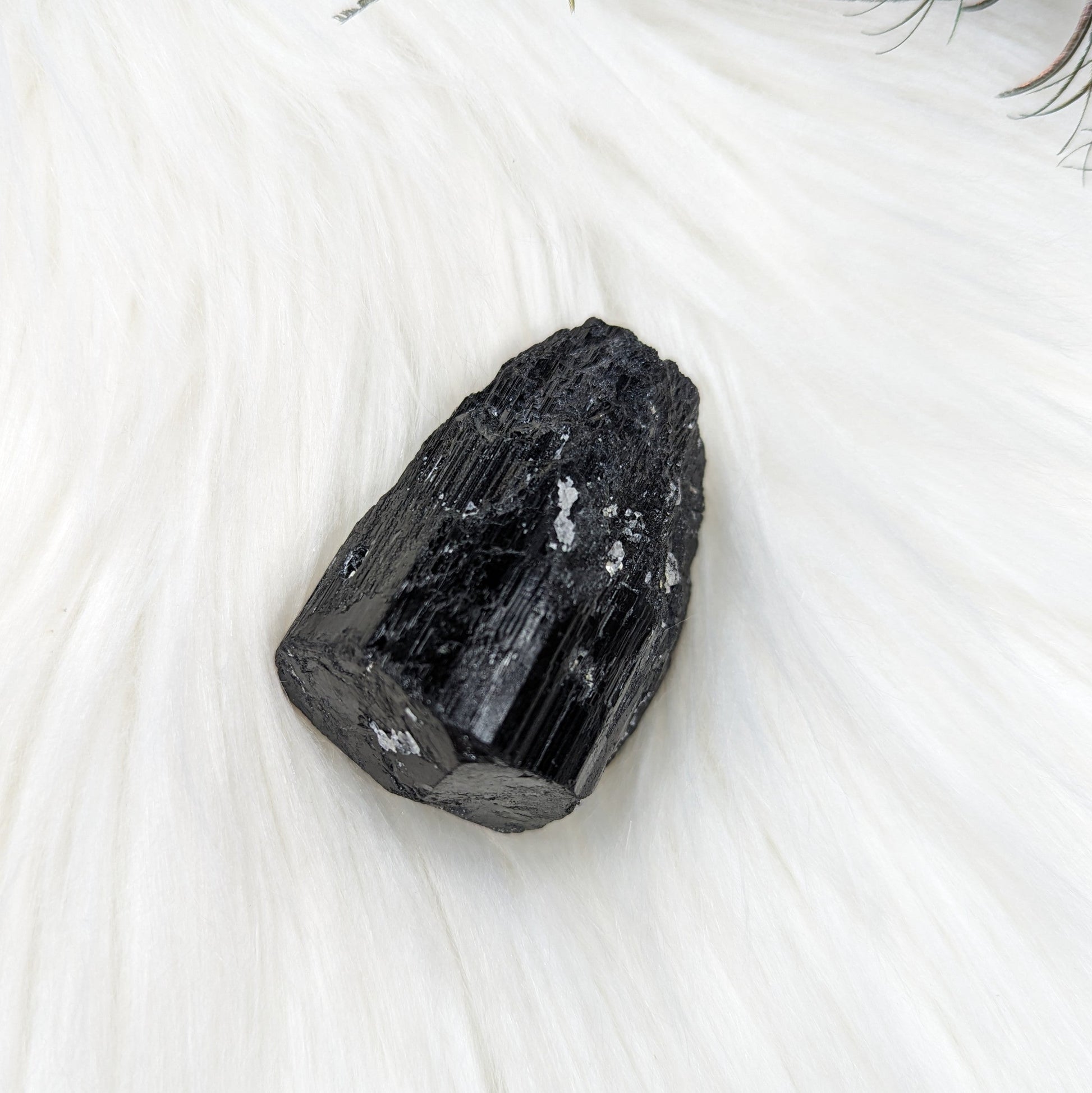Black Tourmaline AA Gemmy Crystal Specimen - Earth Family Crystals