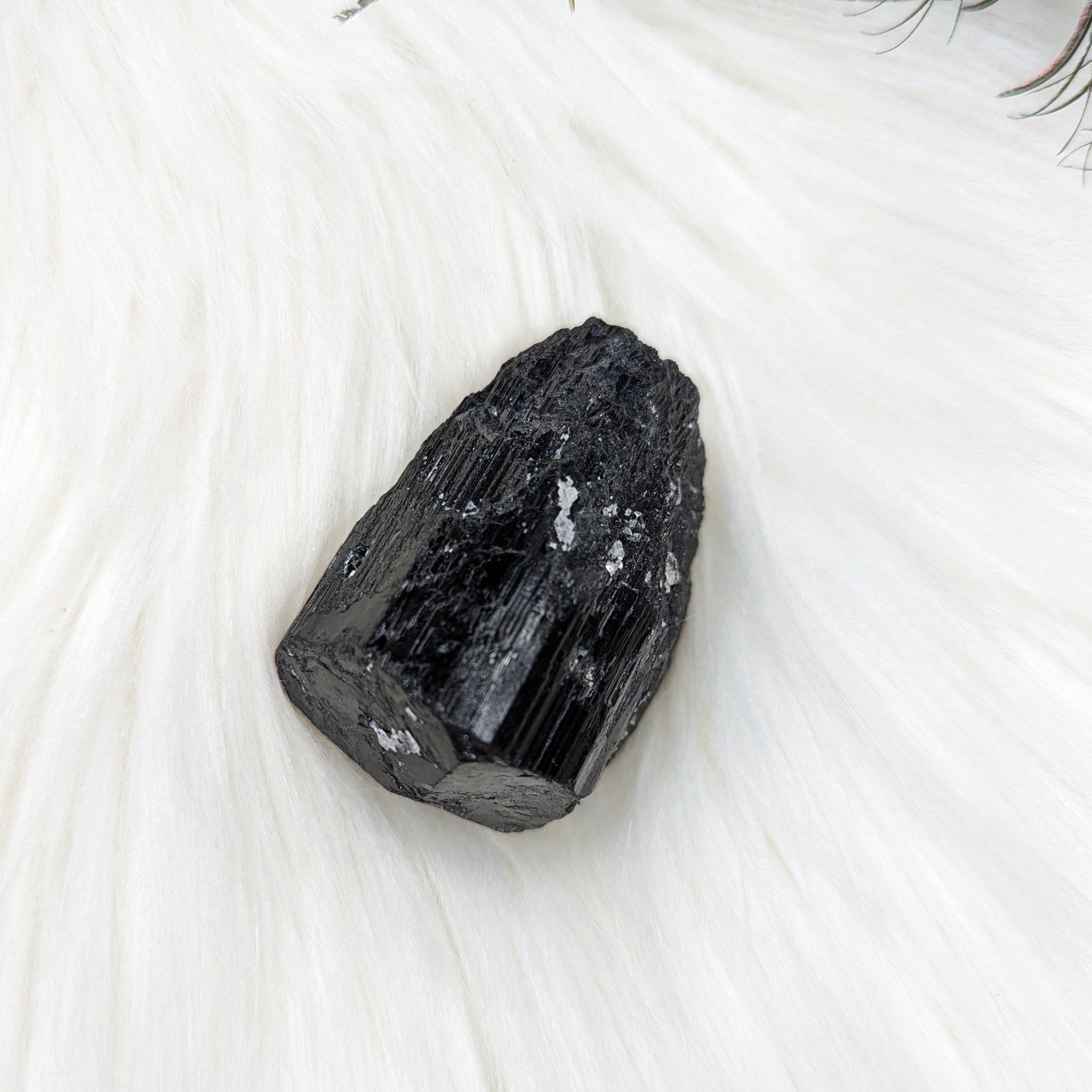 Black Tourmaline AA Gemmy Crystal Specimen - Earth Family Crystals