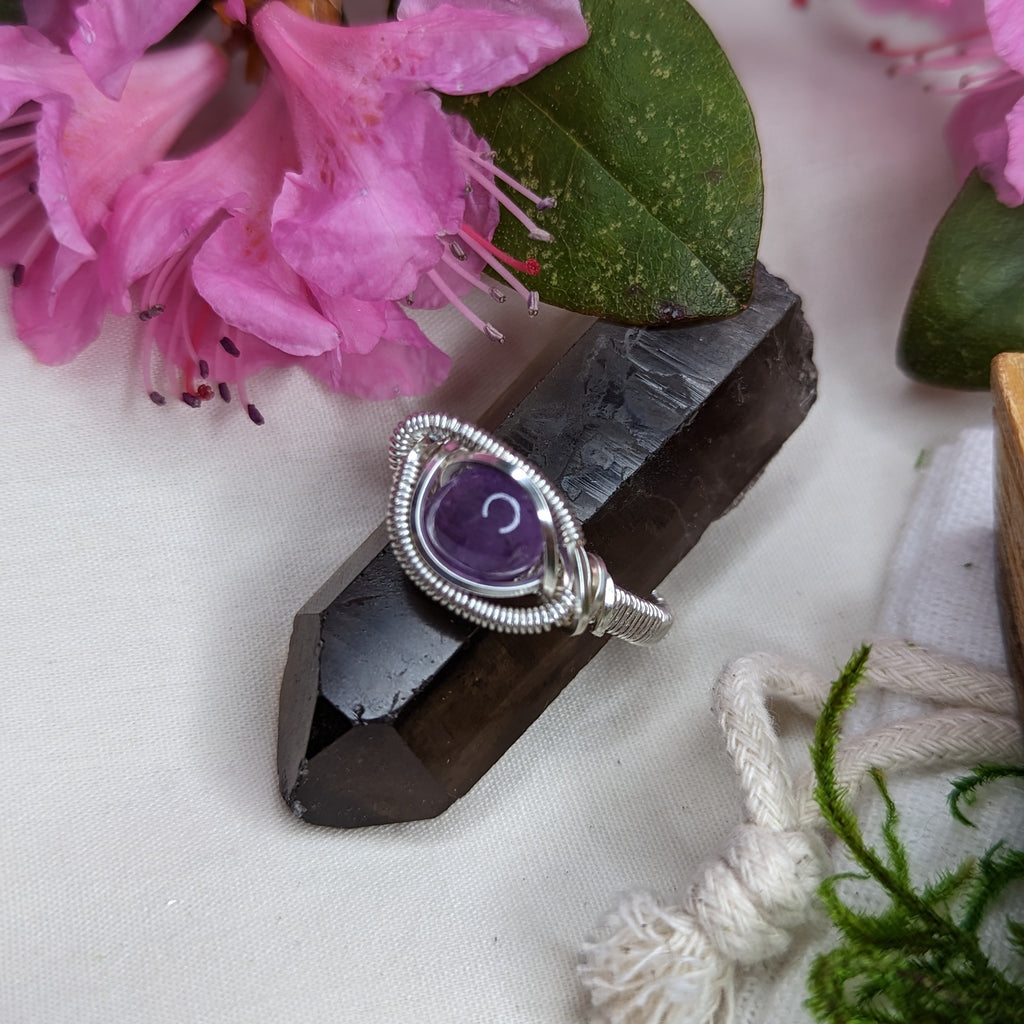 Amethyst Wire Wrapped Ring ~ Size 8.5 - Earth Family Crystals