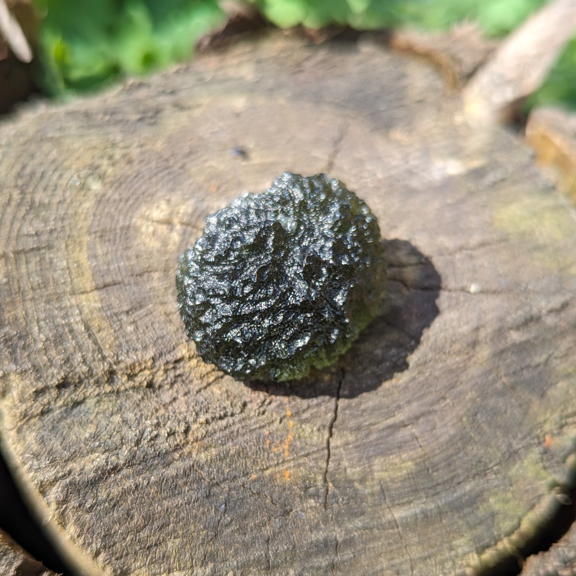 AAA Grade! Genuine Moldavite ~Cosmic Moldavite Tektite Crystal~ Natural Moldavite - Earth Family Crystals