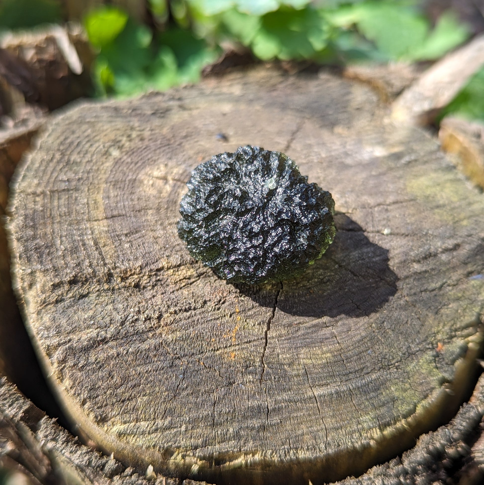 AAA Grade! Genuine Moldavite ~Cosmic Moldavite Tektite Crystal~ Natural Moldavite - Earth Family Crystals
