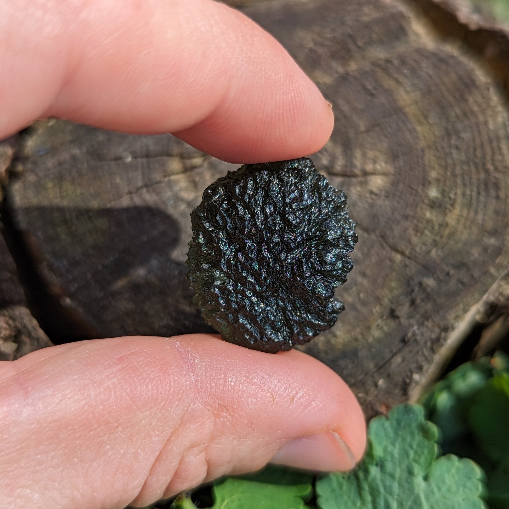 AAA Grade! Genuine Moldavite ~Cosmic Moldavite Tektite Crystal~ Natural Moldavite - Earth Family Crystals
