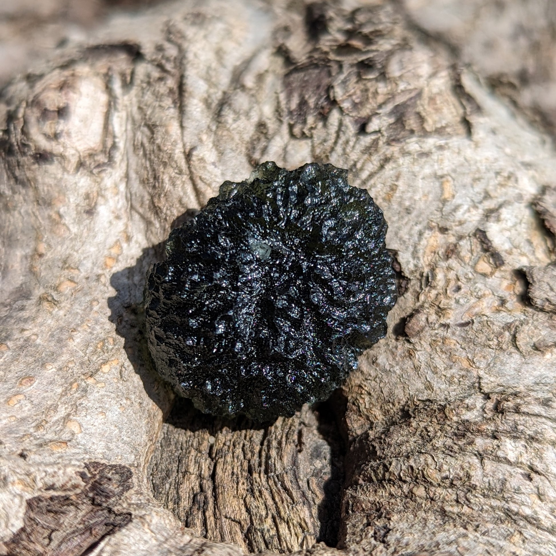 AAA Grade! Genuine Moldavite ~Cosmic Moldavite Tektite Crystal~ Natural Moldavite - Earth Family Crystals