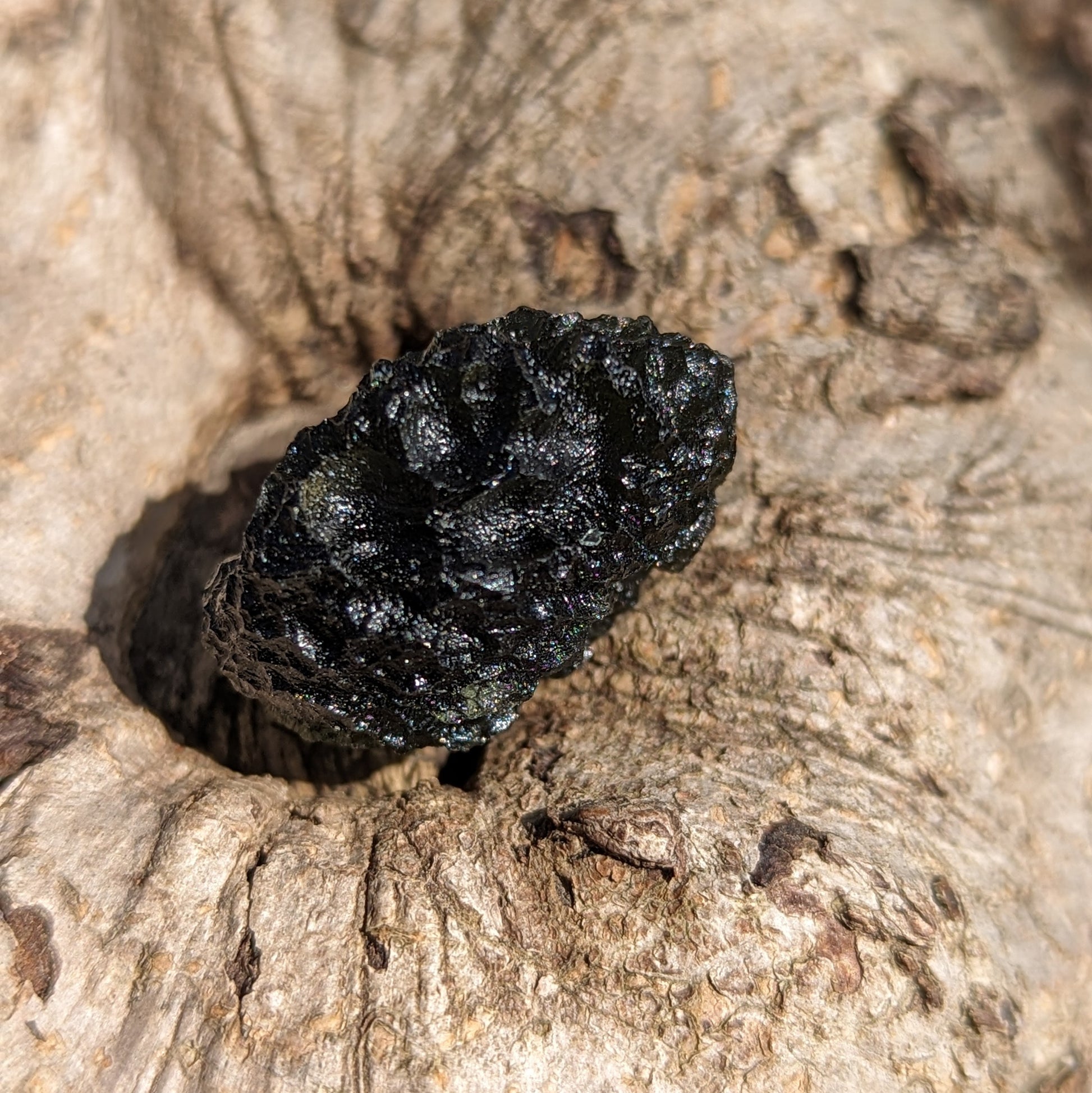 AAA Grade! Genuine Moldavite ~Cosmic Moldavite Tektite Crystal~ Natural Moldavite - Earth Family Crystals
