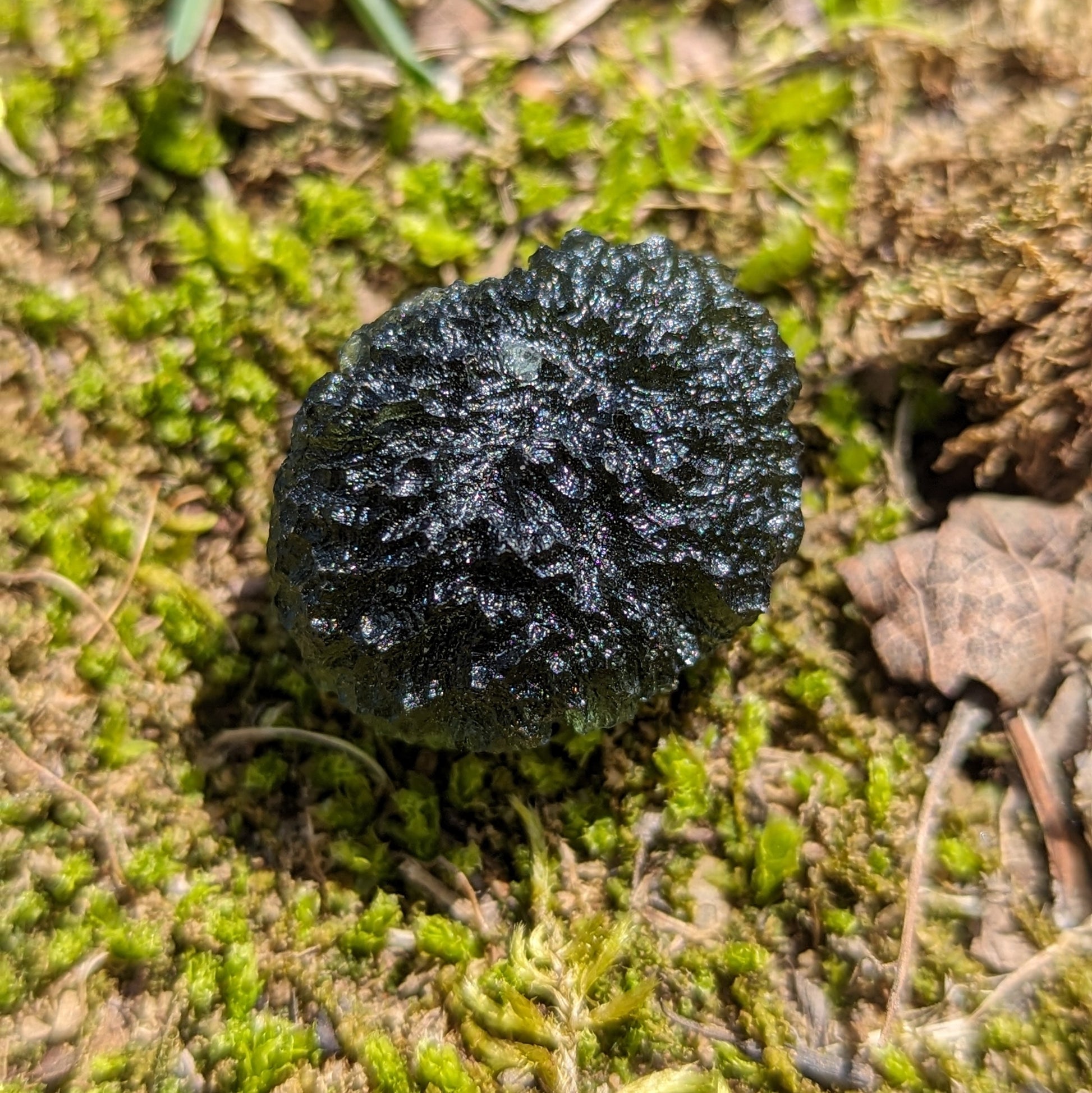 AAA Grade! Genuine Moldavite ~Cosmic Moldavite Tektite Crystal~ Natural Moldavite - Earth Family Crystals
