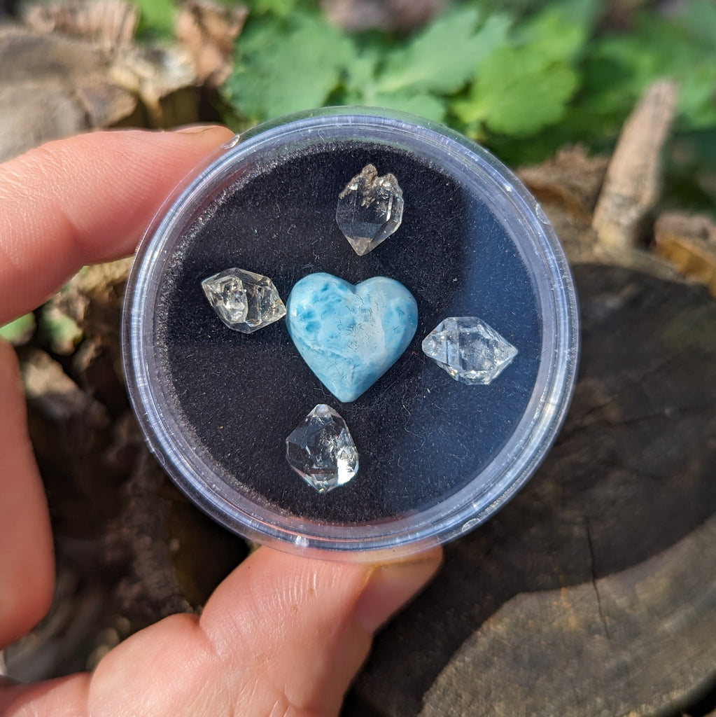 Larimar and Herkimer Diamond Natural Crystal set in Collectors Box~ Ethically Sourced in New York & Dominican Republic - Earth Family Crystals