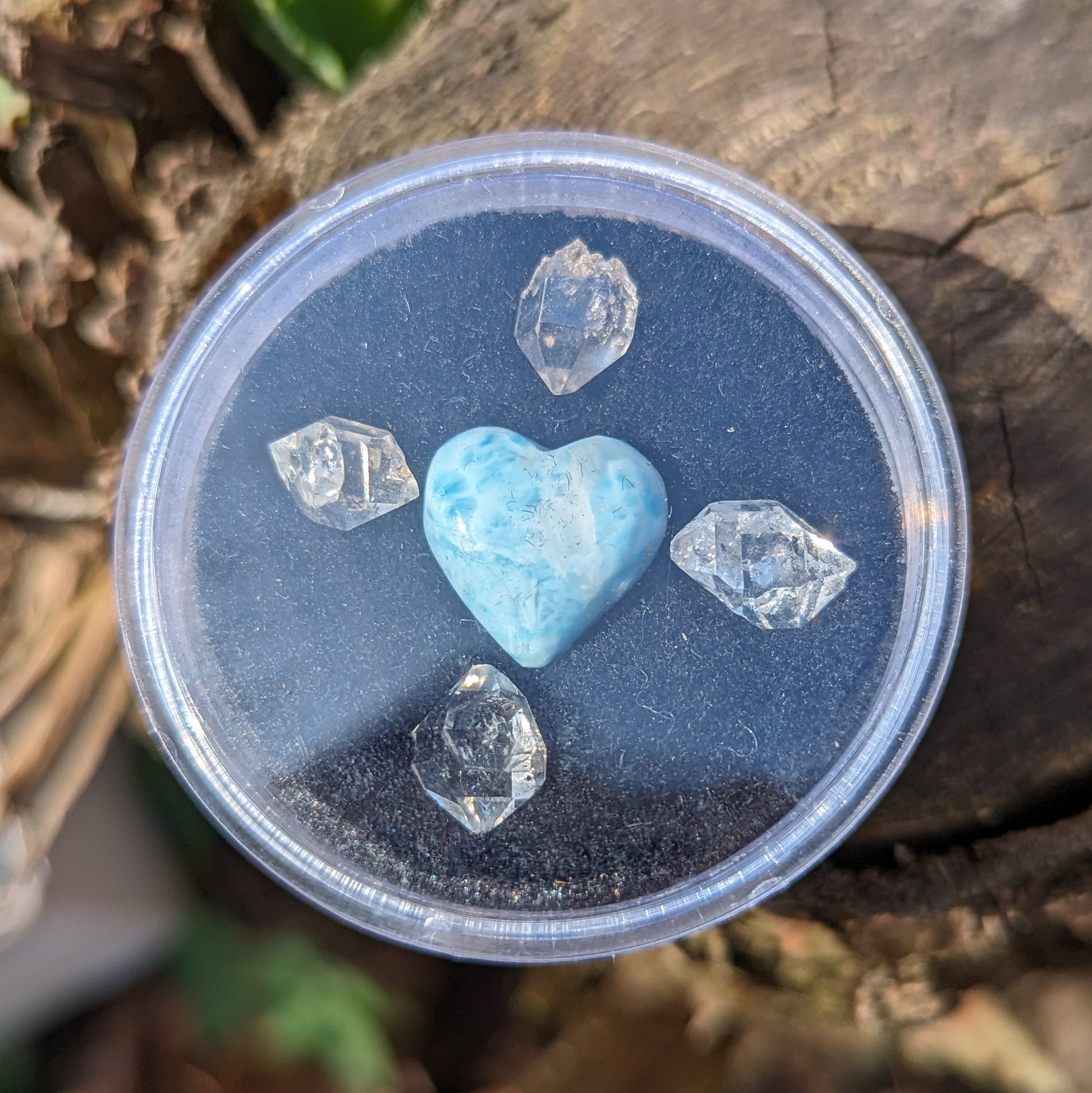 Larimar and Herkimer Diamond Natural Crystal set in Collectors Box~ Ethically Sourced in New York & Dominican Republic - Earth Family Crystals