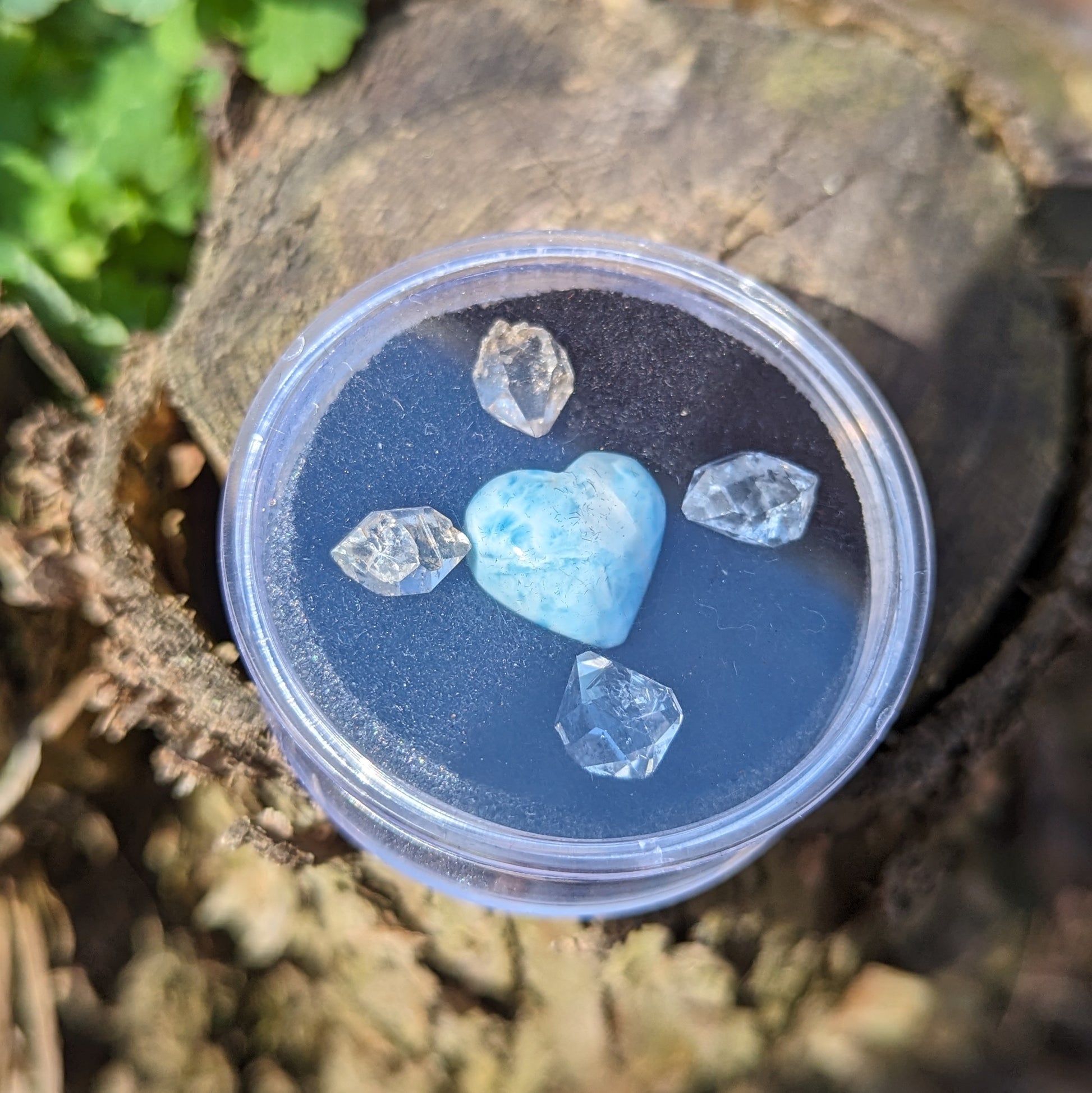 Larimar and Herkimer Diamond Natural Crystal set in Collectors Box~ Ethically Sourced in New York & Dominican Republic - Earth Family Crystals