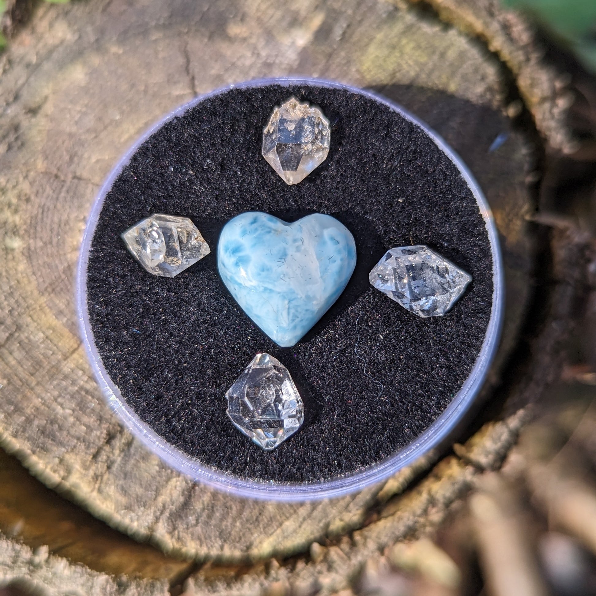 Larimar and Herkimer Diamond Natural Crystal set in Collectors Box~ Ethically Sourced in New York & Dominican Republic - Earth Family Crystals