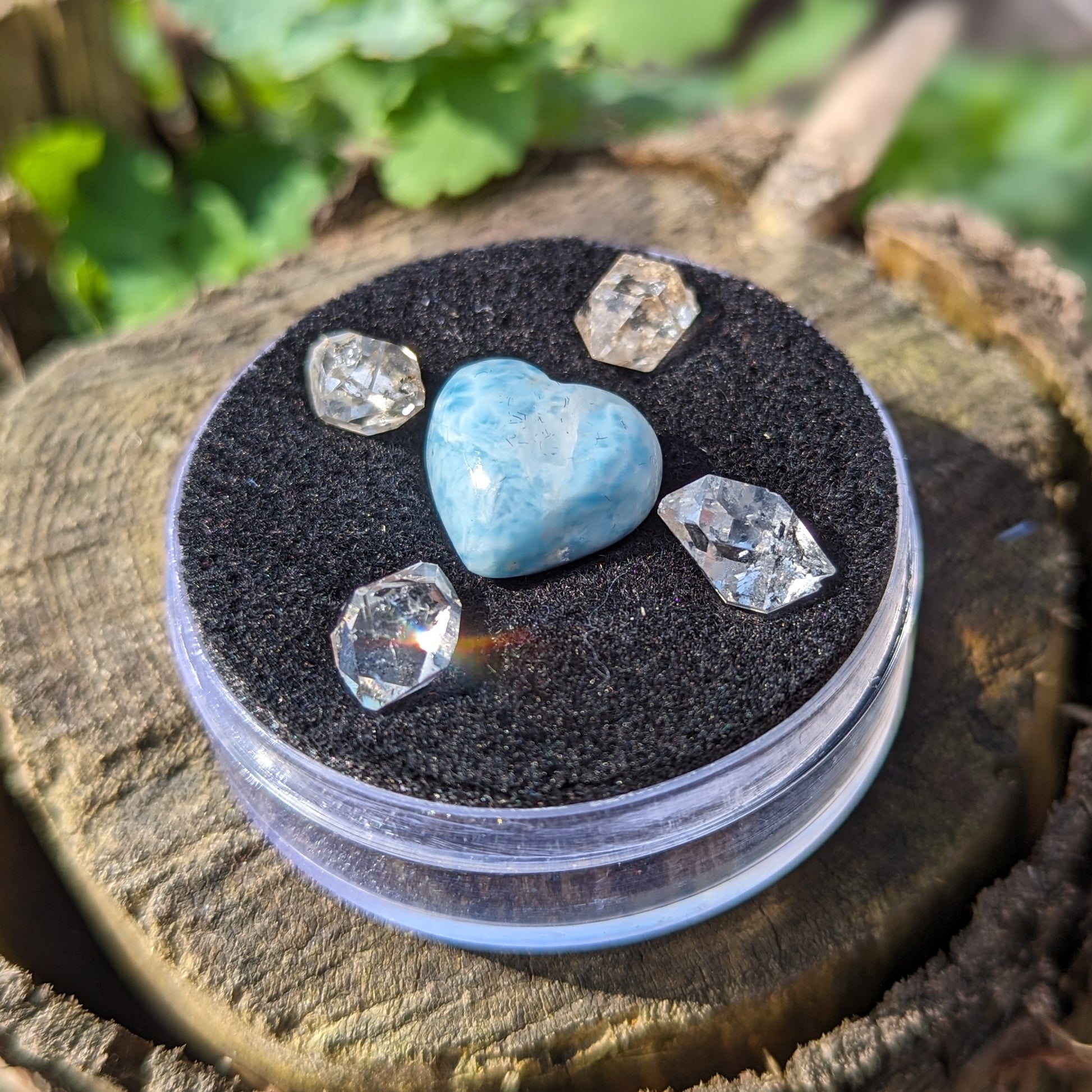 Larimar and Herkimer Diamond Natural Crystal set in Collectors Box~ Ethically Sourced in New York & Dominican Republic - Earth Family Crystals
