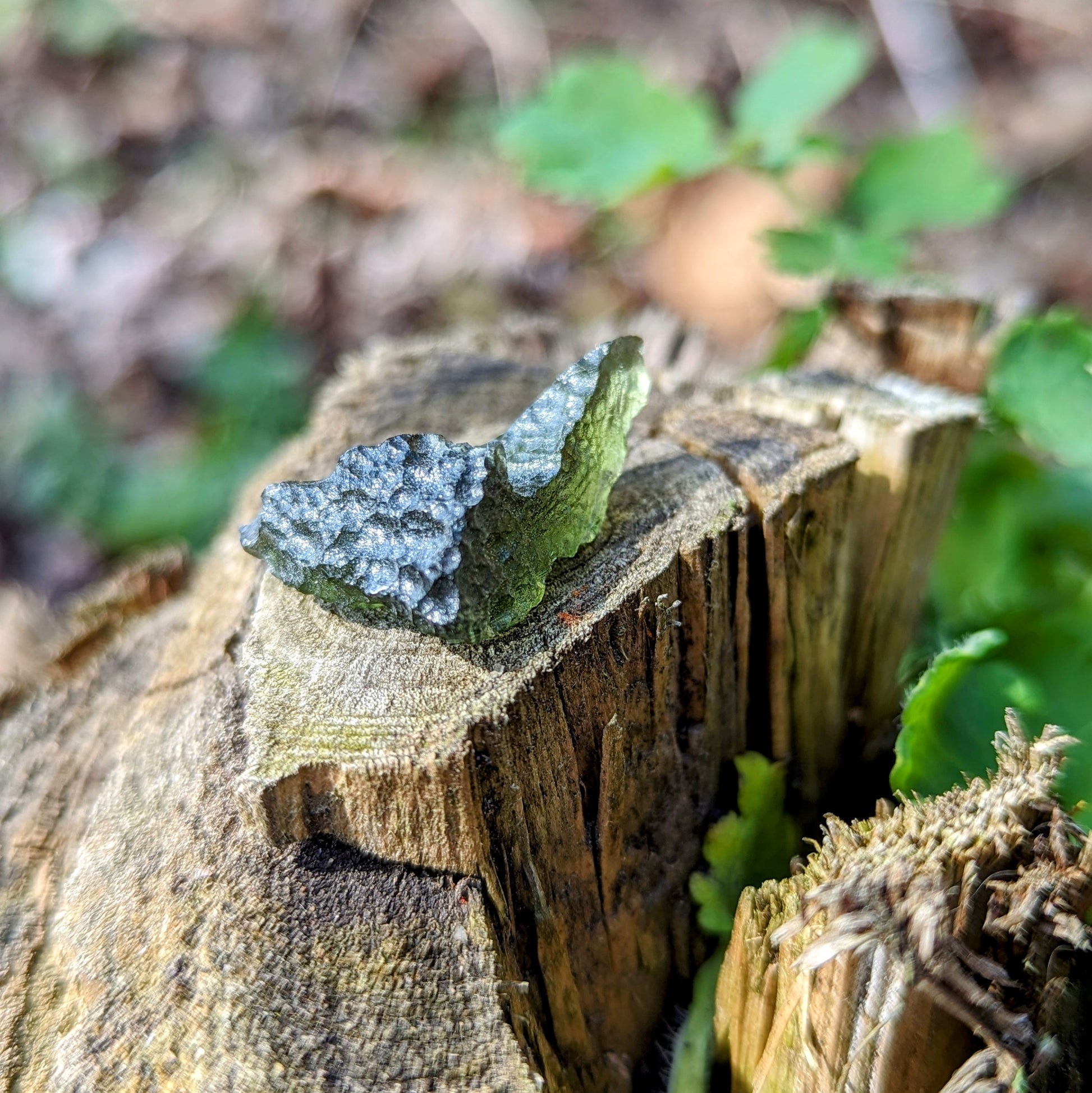 Genuine Moldavite ~Extraterrestrial Energies~ Cosmic Moldavite Tektite Crystal~ Natural Moldavite - Earth Family Crystals