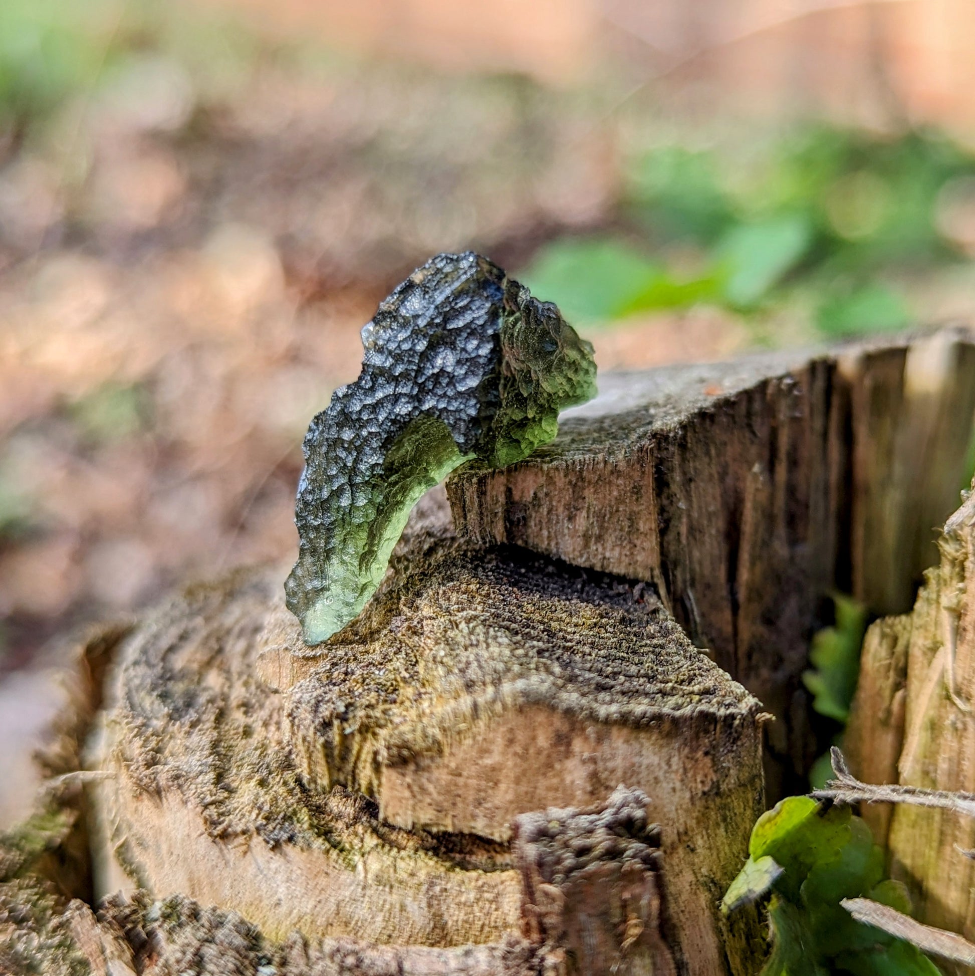 Genuine Moldavite ~Extraterrestrial Energies~ Cosmic Moldavite Tektite Crystal~ Natural Moldavite - Earth Family Crystals