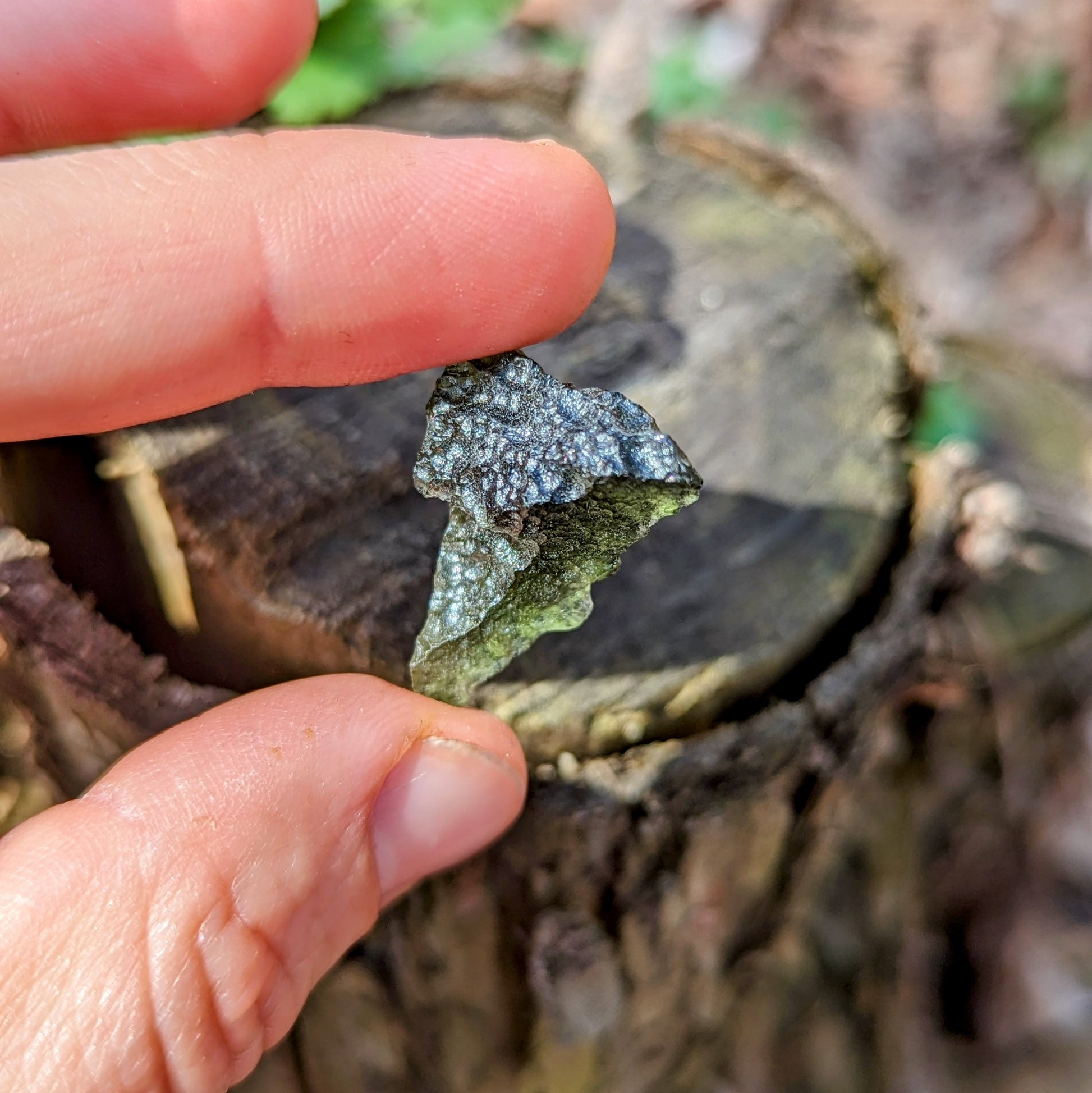 Genuine Moldavite ~Extraterrestrial Energies~ Cosmic Moldavite Tektite Crystal~ Natural Moldavite - Earth Family Crystals