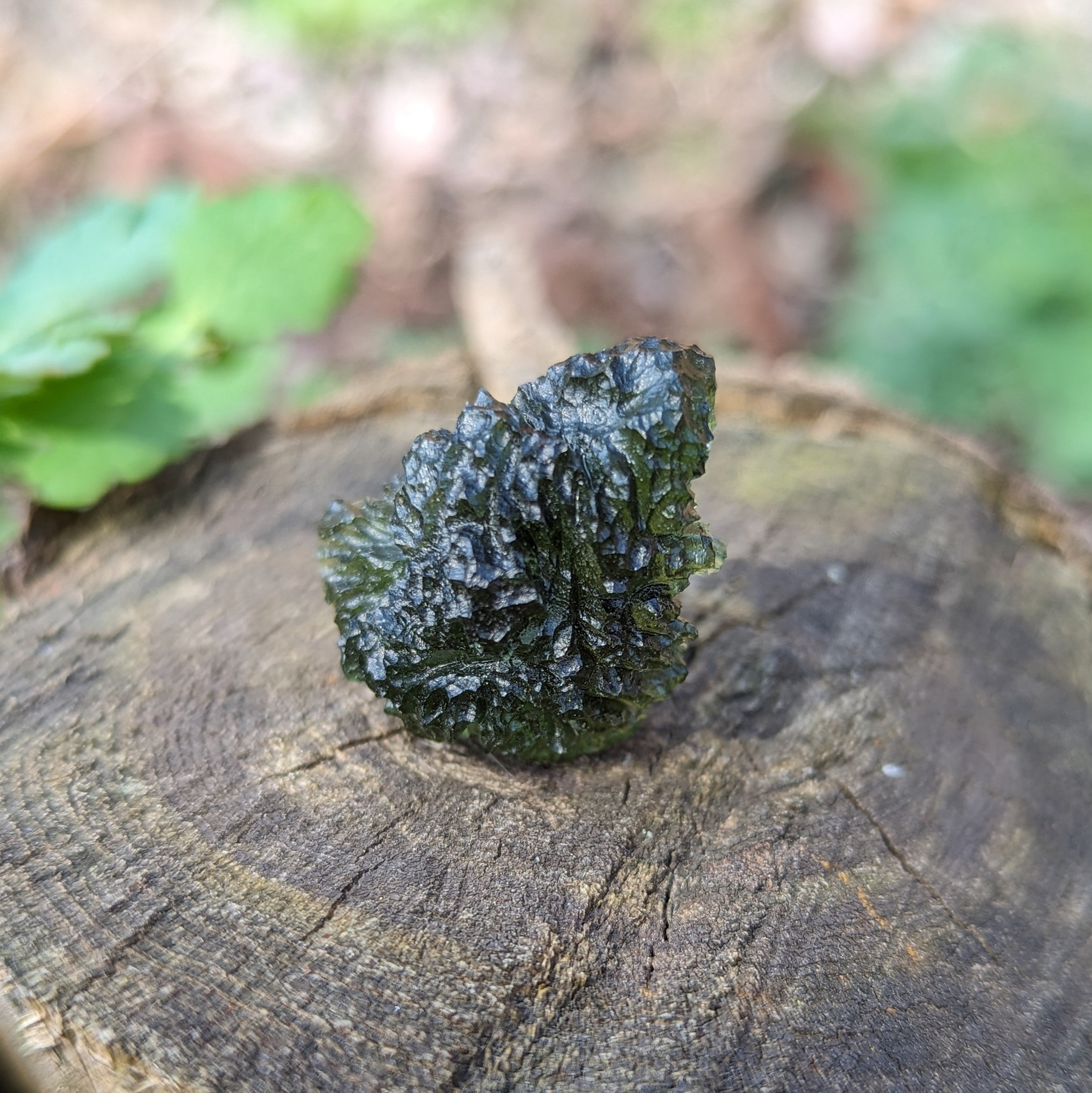 Genuine AAA Grade Moldavite Tektite Crystal~ Cosmic Energies~ Natural Moldavite - Earth Family Crystals