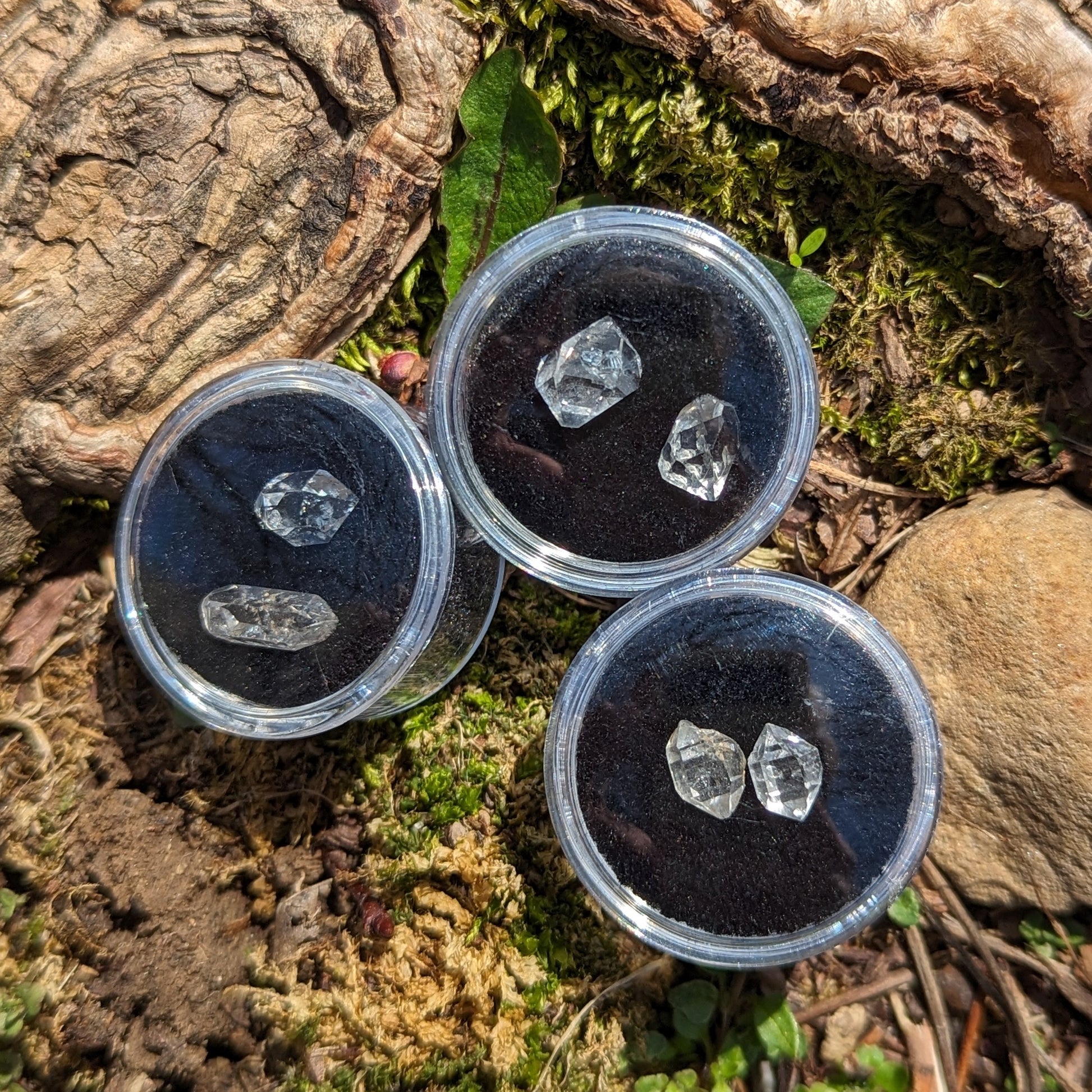 Twins! One Pair of Herkimer Diamonds Clear Quartz Crystal ~ Manifest Your Dreams- Ethically Sourced from New York- Tucson Treasure- Purchased Mine Direct - Earth Family Crystals