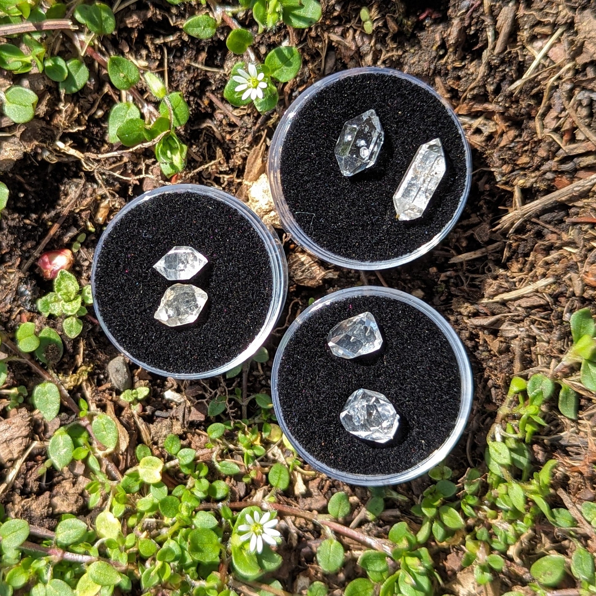 Twins! One Pair of Herkimer Diamonds Clear Quartz Crystal ~ Manifest Your Dreams- Ethically Sourced from New York- Tucson Treasure- Purchased Mine Direct - Earth Family Crystals