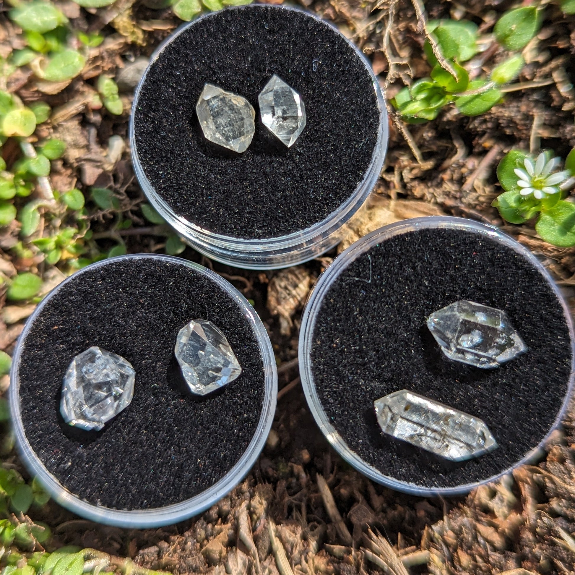 Twins! One Pair of Herkimer Diamonds Clear Quartz Crystal ~ Manifest Your Dreams- Ethically Sourced from New York- Tucson Treasure- Purchased Mine Direct - Earth Family Crystals