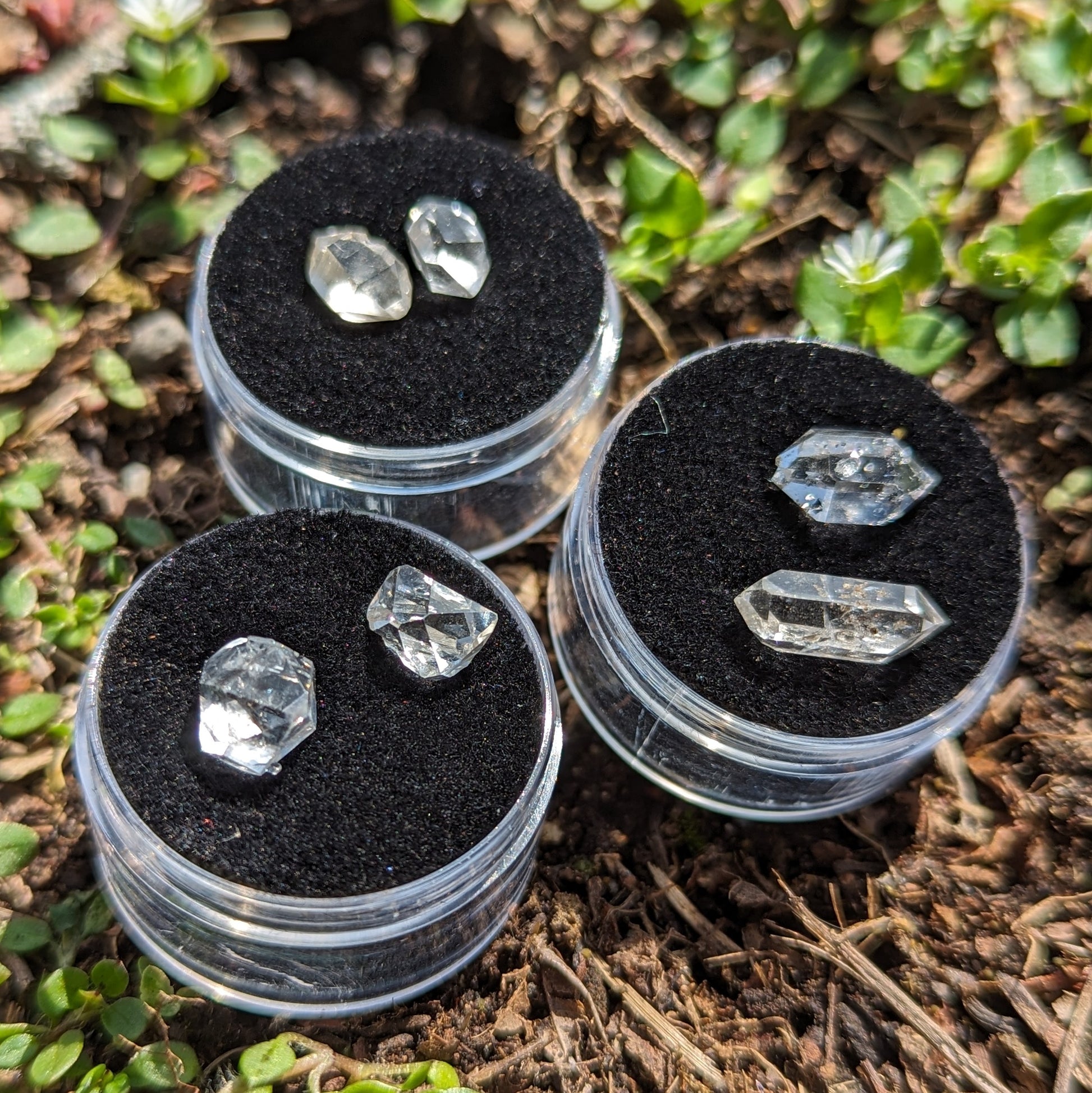 Twins! One Pair of Herkimer Diamonds Clear Quartz Crystal ~ Manifest Your Dreams- Ethically Sourced from New York- Tucson Treasure- Purchased Mine Direct - Earth Family Crystals