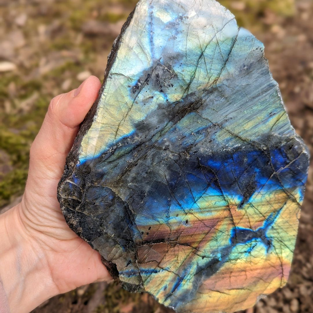 Labradorite ~ Large, Amazing Flash Polished and Rough Freeform Display Specimen - Earth Family Crystals