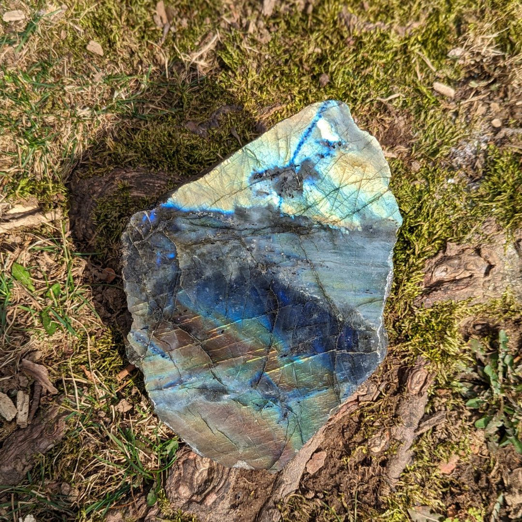 Labradorite ~ Large, Amazing Flash Polished and Rough Freeform Display Specimen - Earth Family Crystals