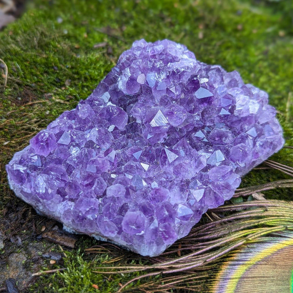 Amethyst Crystals For Sale Earth Family Crystals Amethyst Crystals For Sale Earth Family Crystals