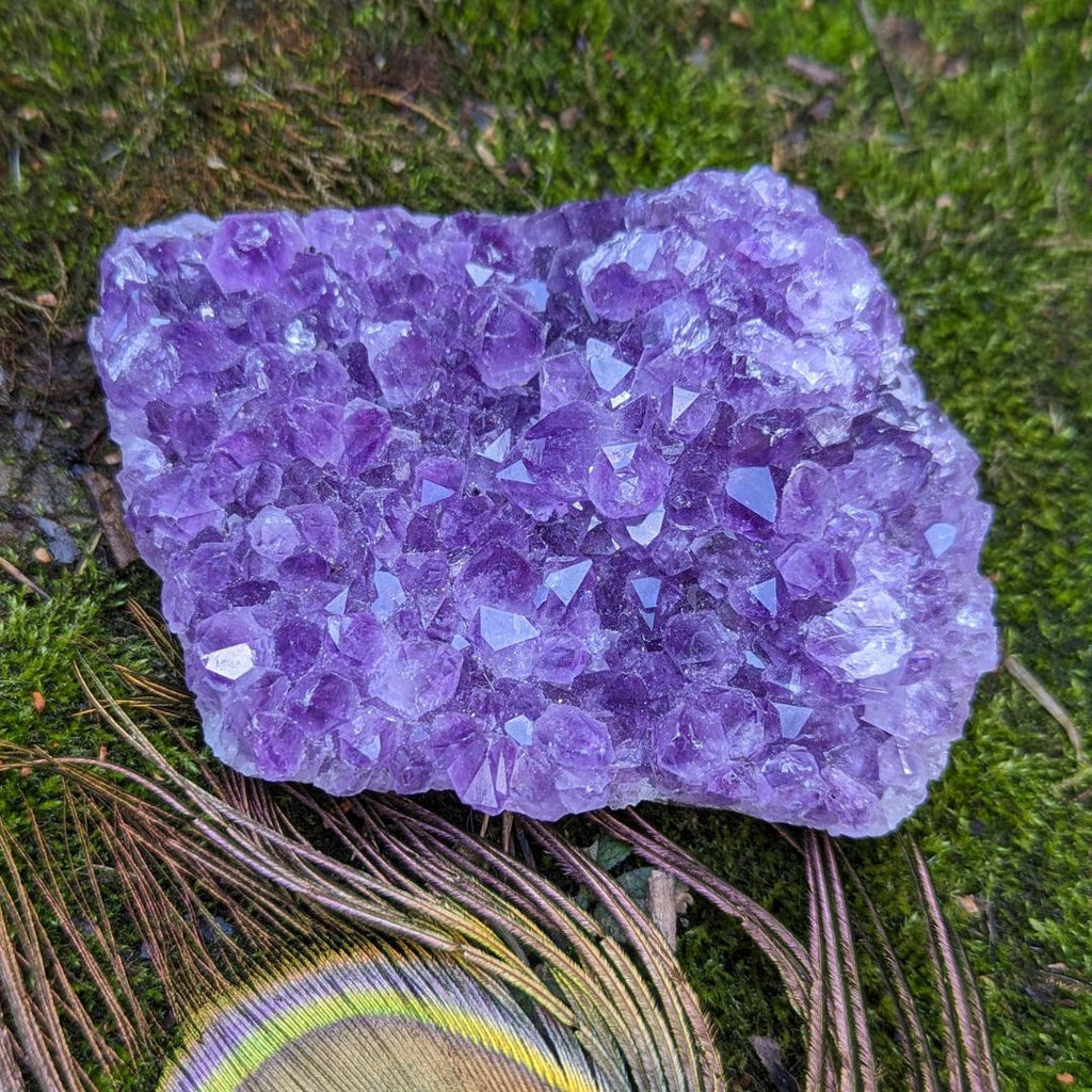 Vibrant Purple Amethyst Crystal Cluster ~ Positive Energy and Emotional Balance - Earth Family Crystals